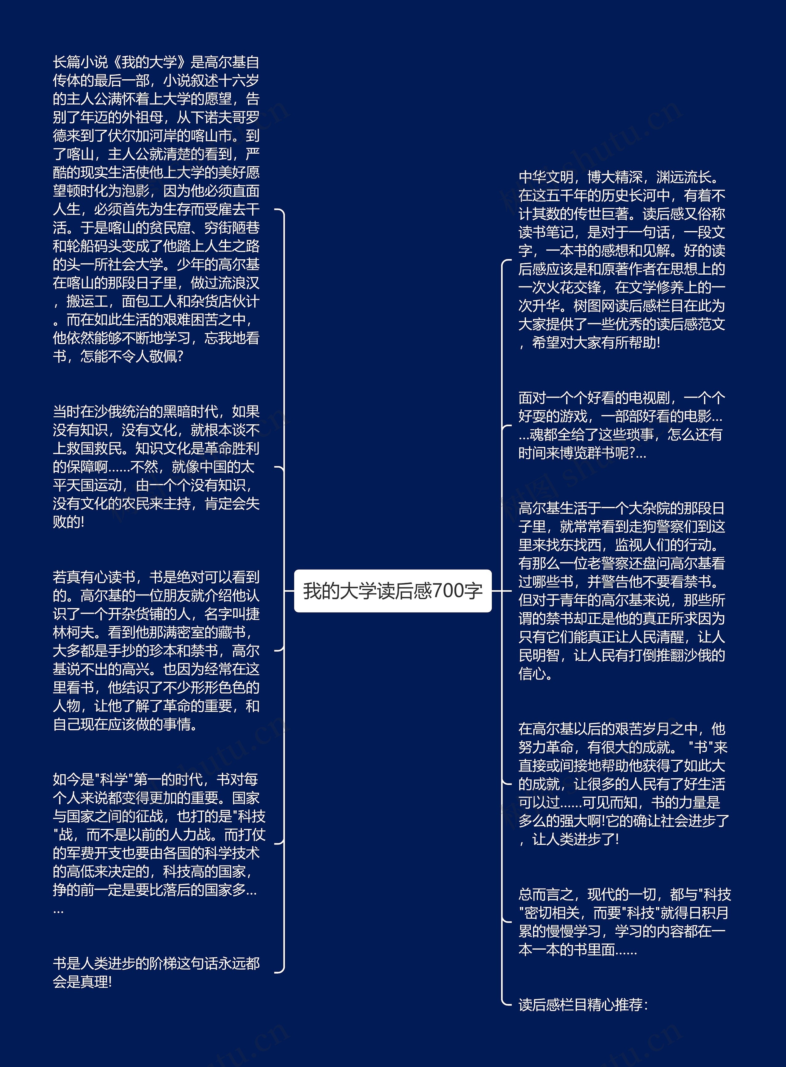 我的大学读后感700字