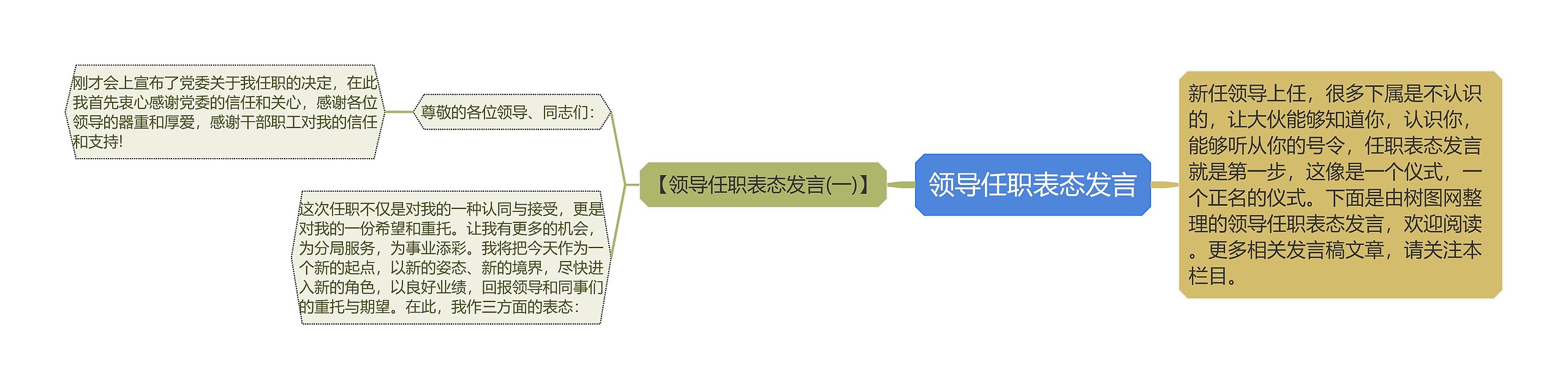 领导任职表态发言思维导图