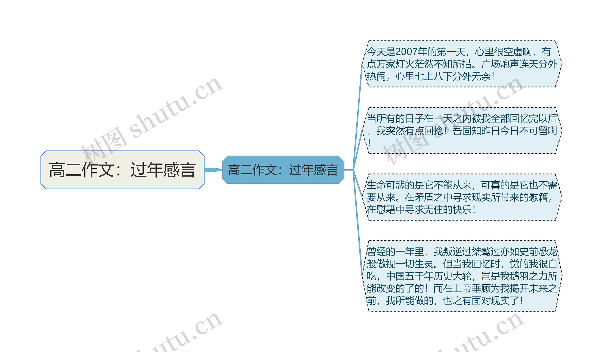 高二作文：过年感言思维导图