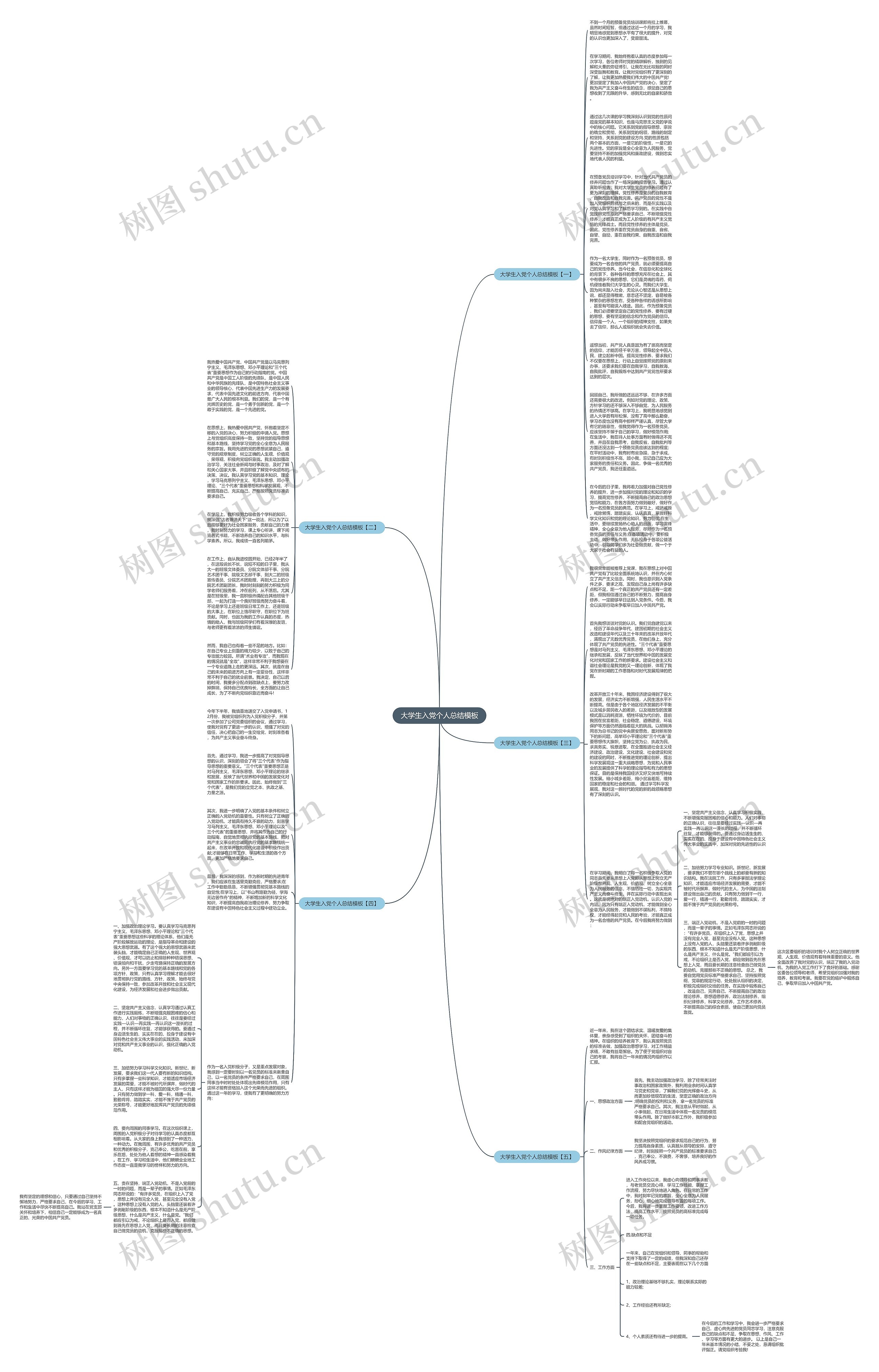 大学生入党个人总结思维导图