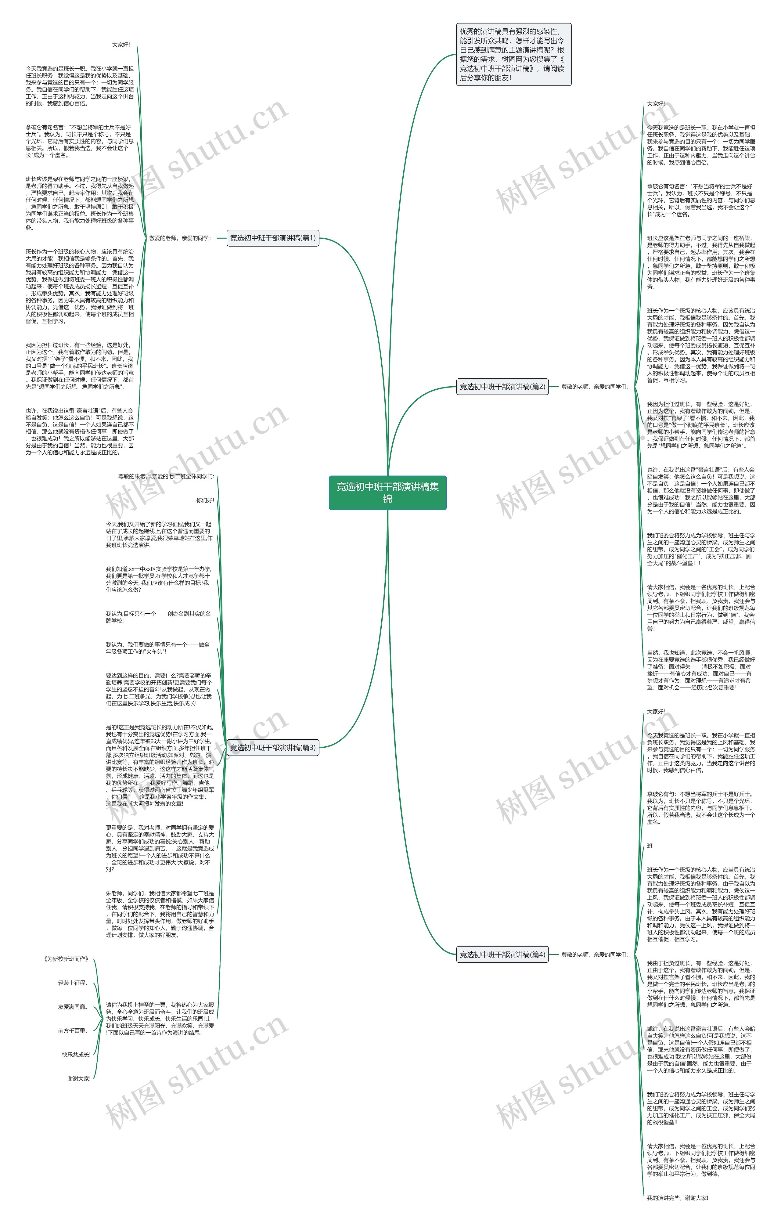 竞选初中班干部演讲稿集锦思维导图