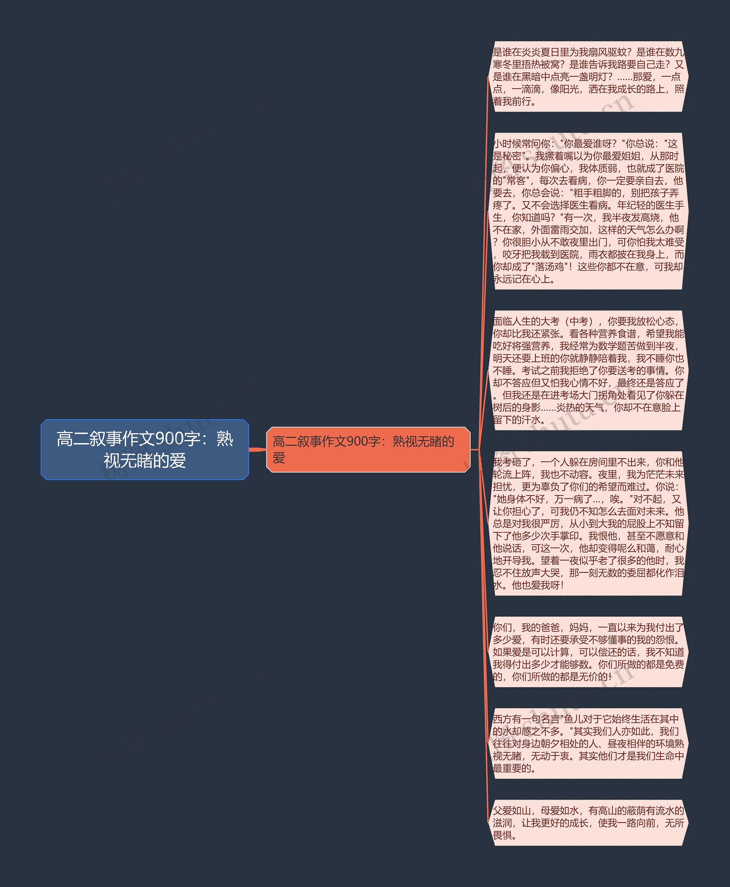 高二叙事作文900字：熟视无睹的爱思维导图