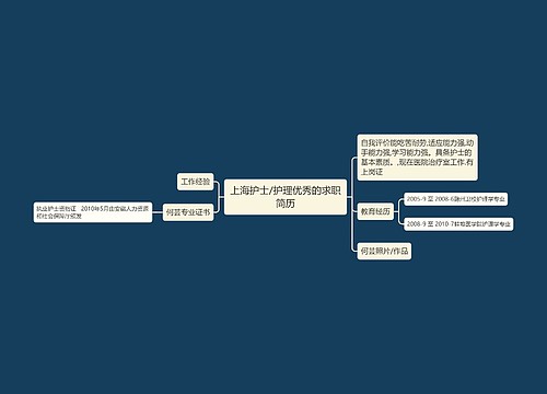 上海护士/护理优秀的求职简历