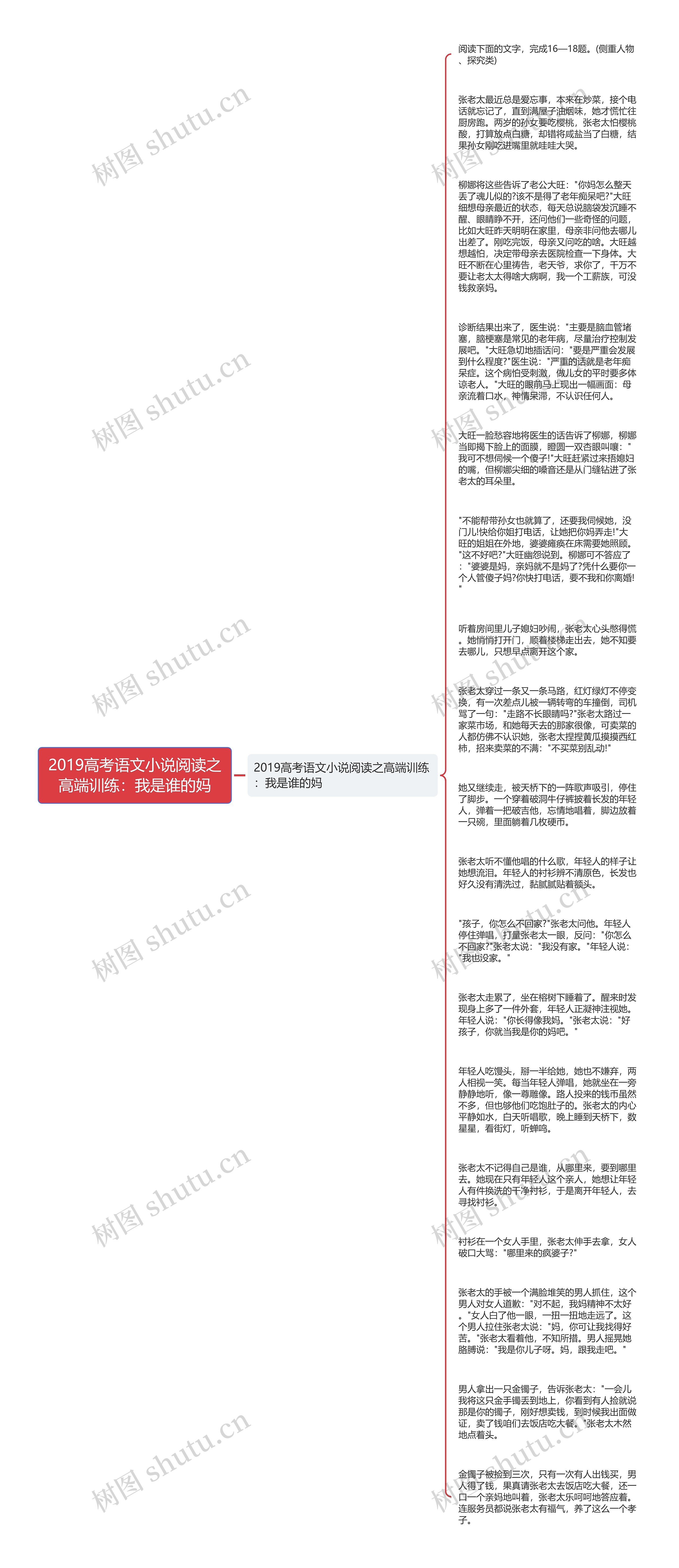 2019高考语文小说阅读之高端训练：我是谁的妈