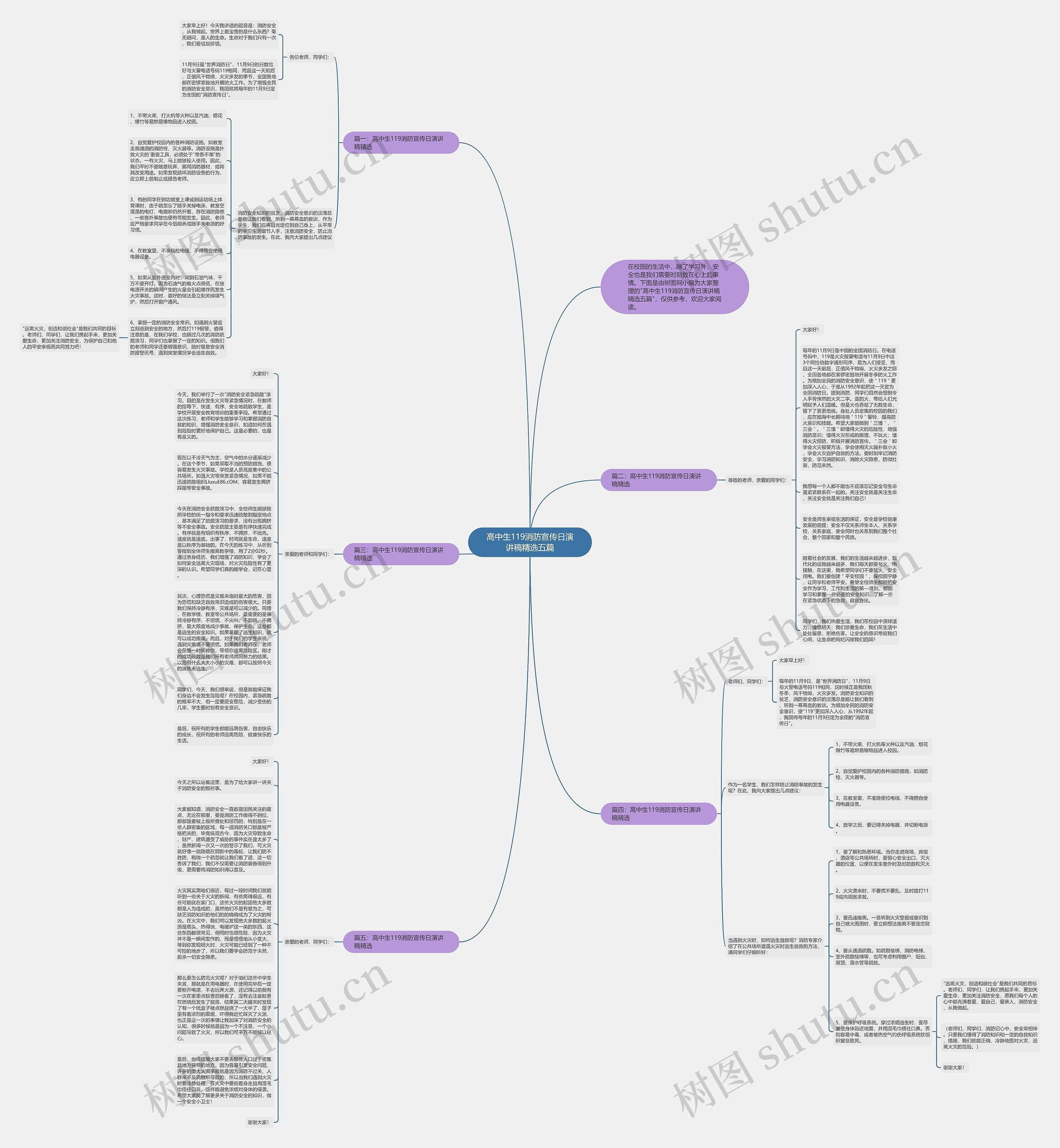 高中生119消防宣传日演讲稿精选五篇思维导图