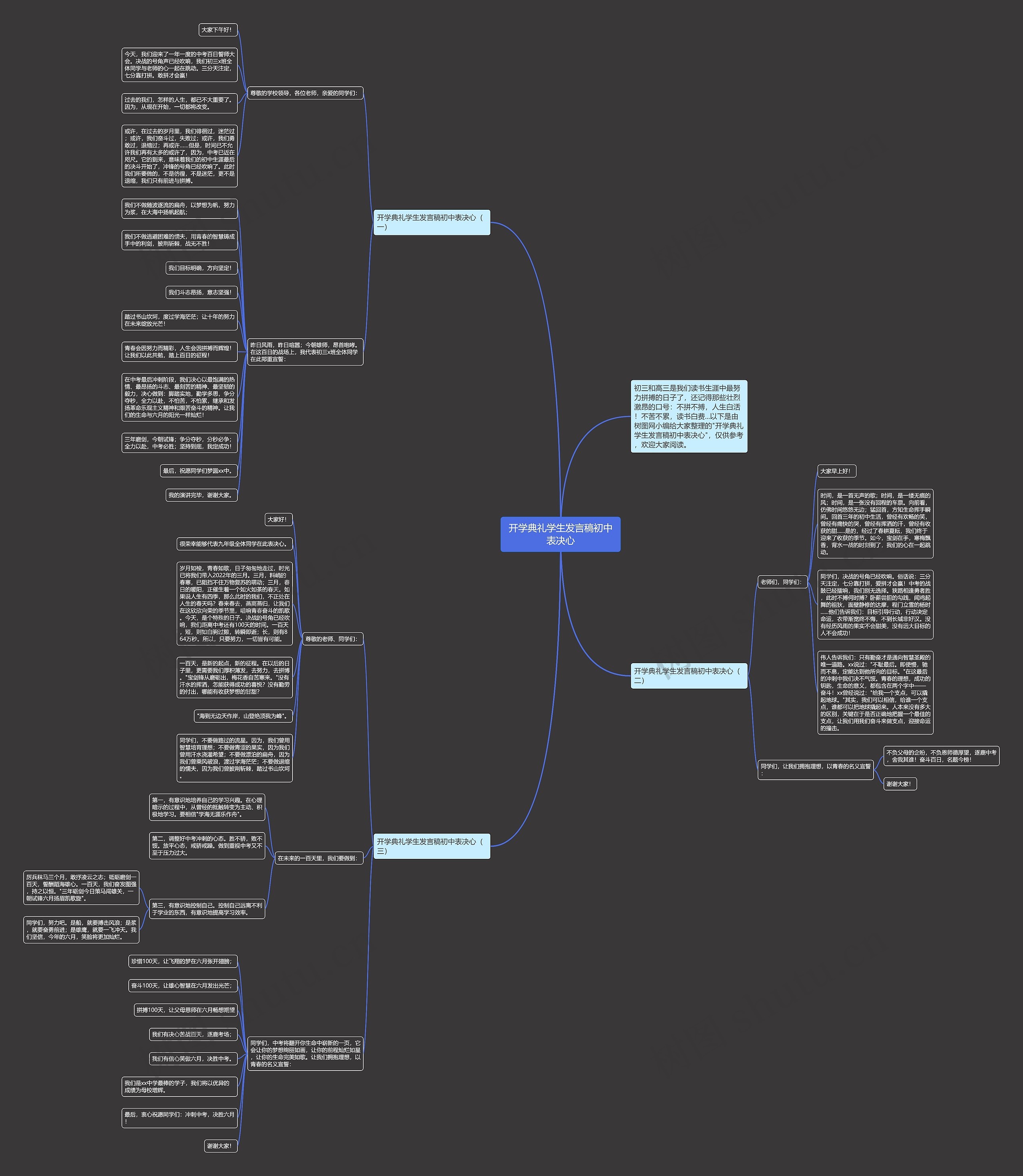开学典礼学生发言稿初中表决心思维导图