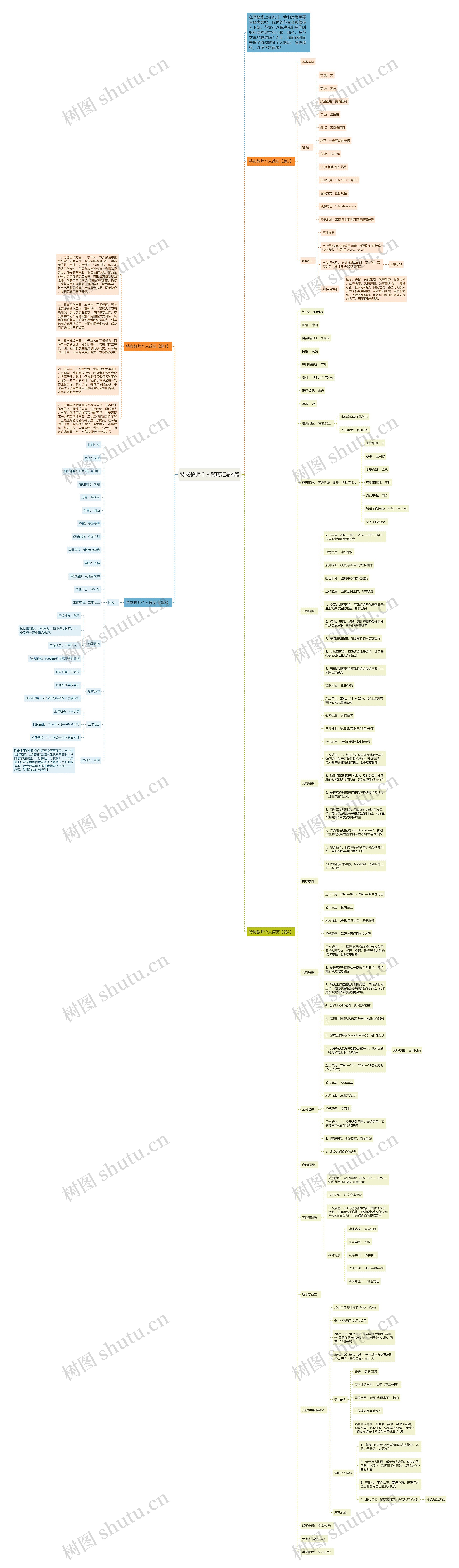 特岗教师个人简历汇总4篇思维导图