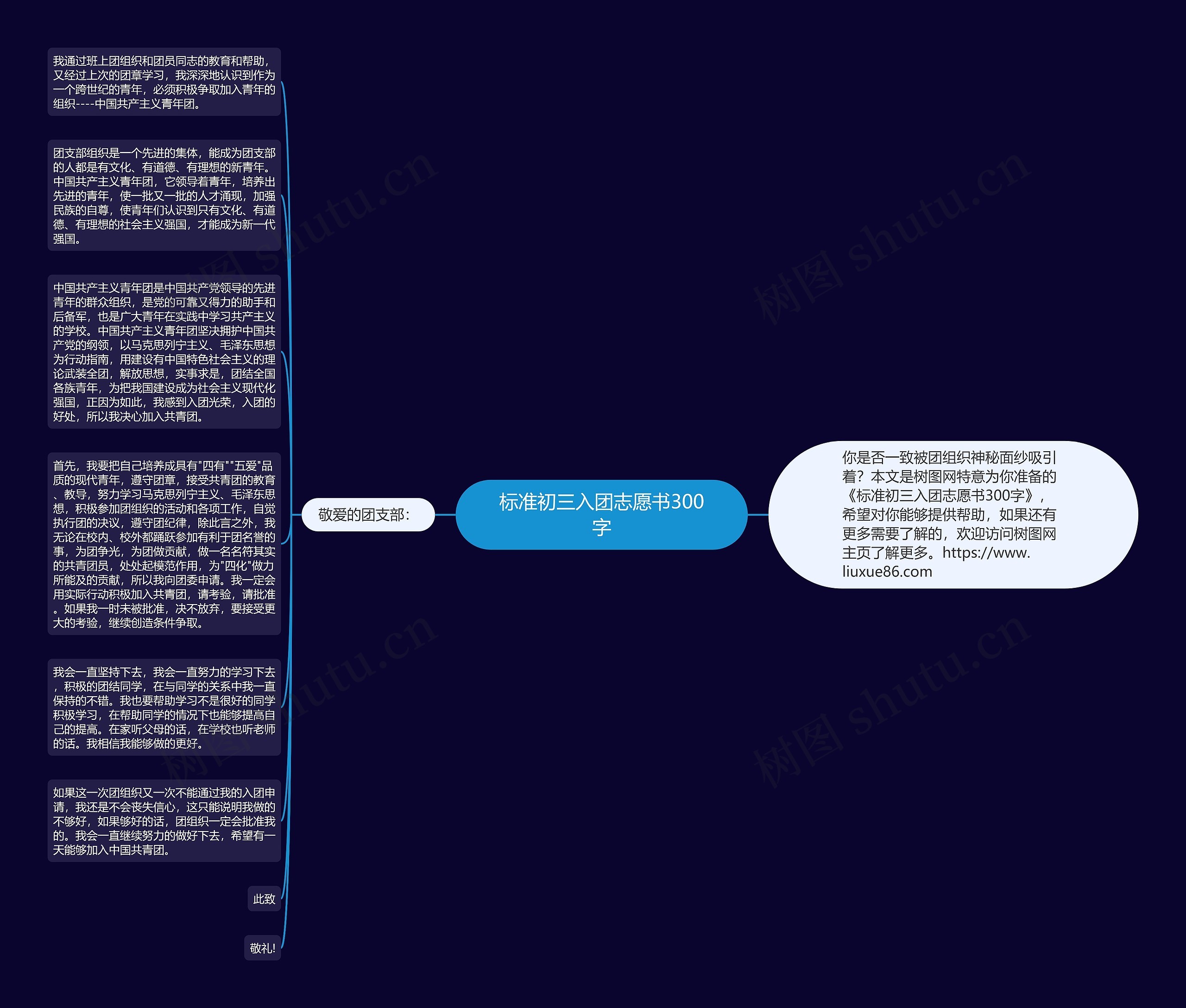 标准初三入团志愿书300字