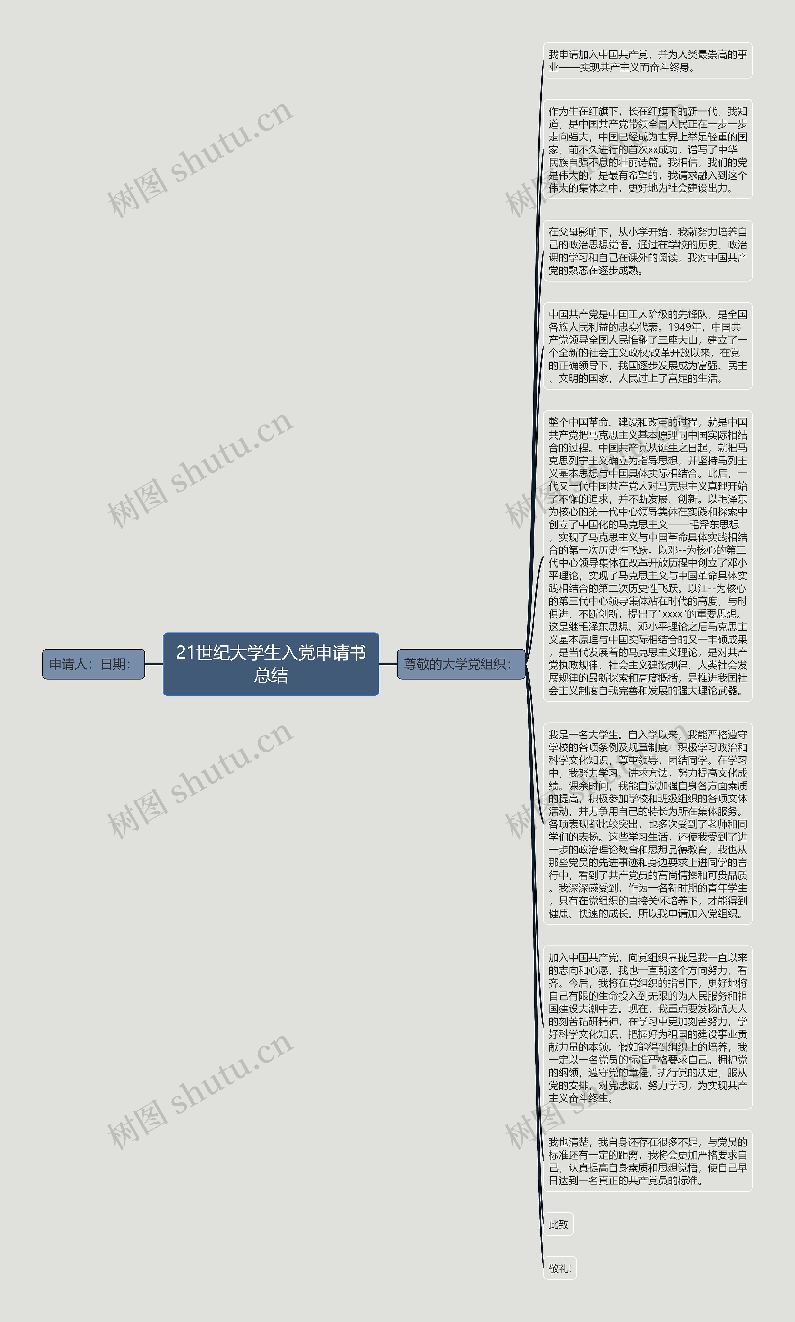 21世纪大学生入党申请书总结