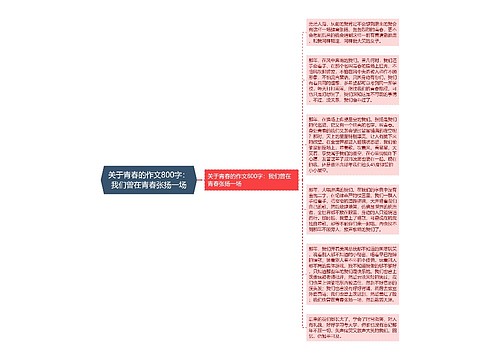 关于青春的作文800字：我们曾在青春张扬一场