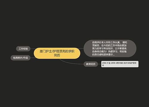 厦门护士/护理漂亮的求职简历