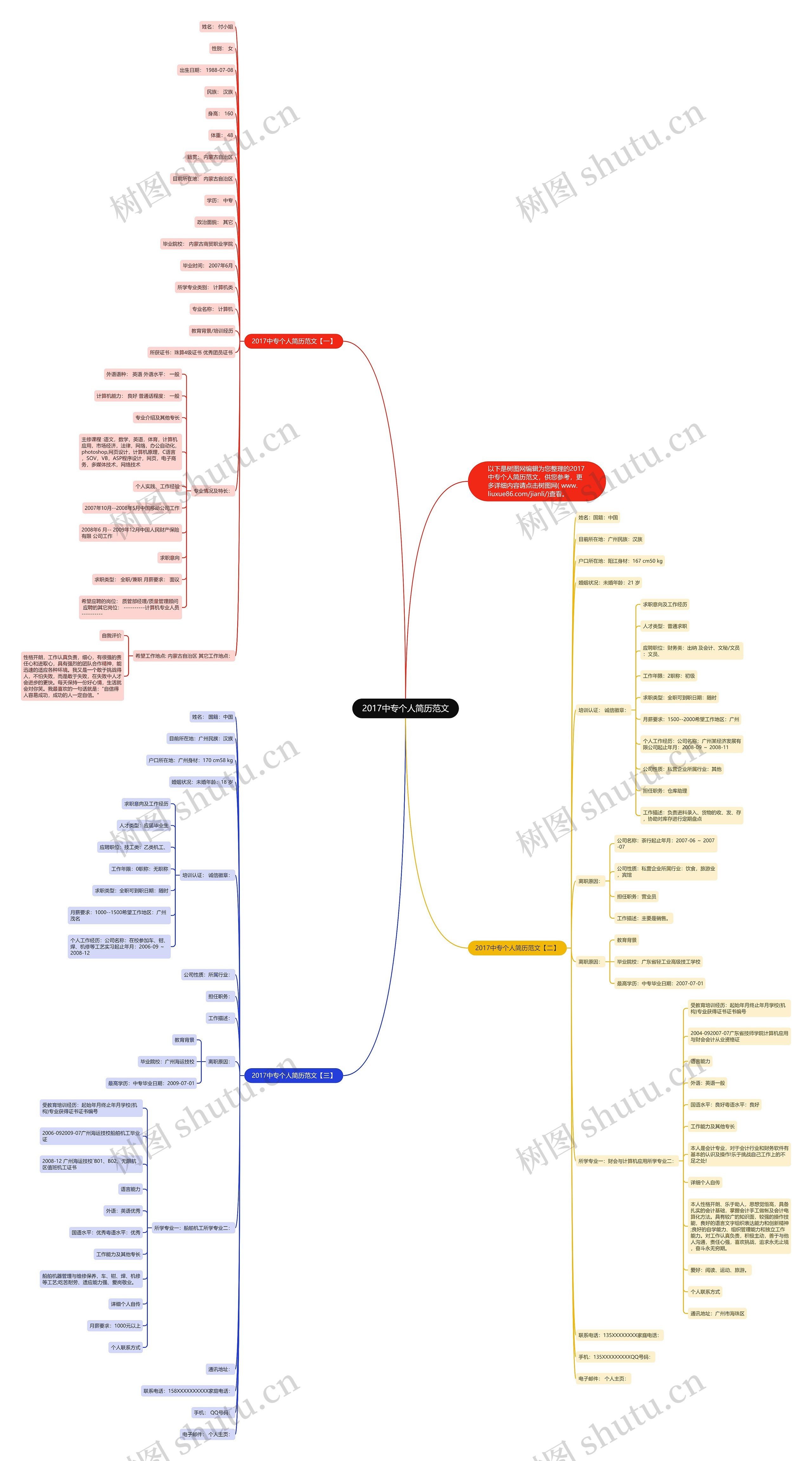 2017中专个人简历范文思维导图