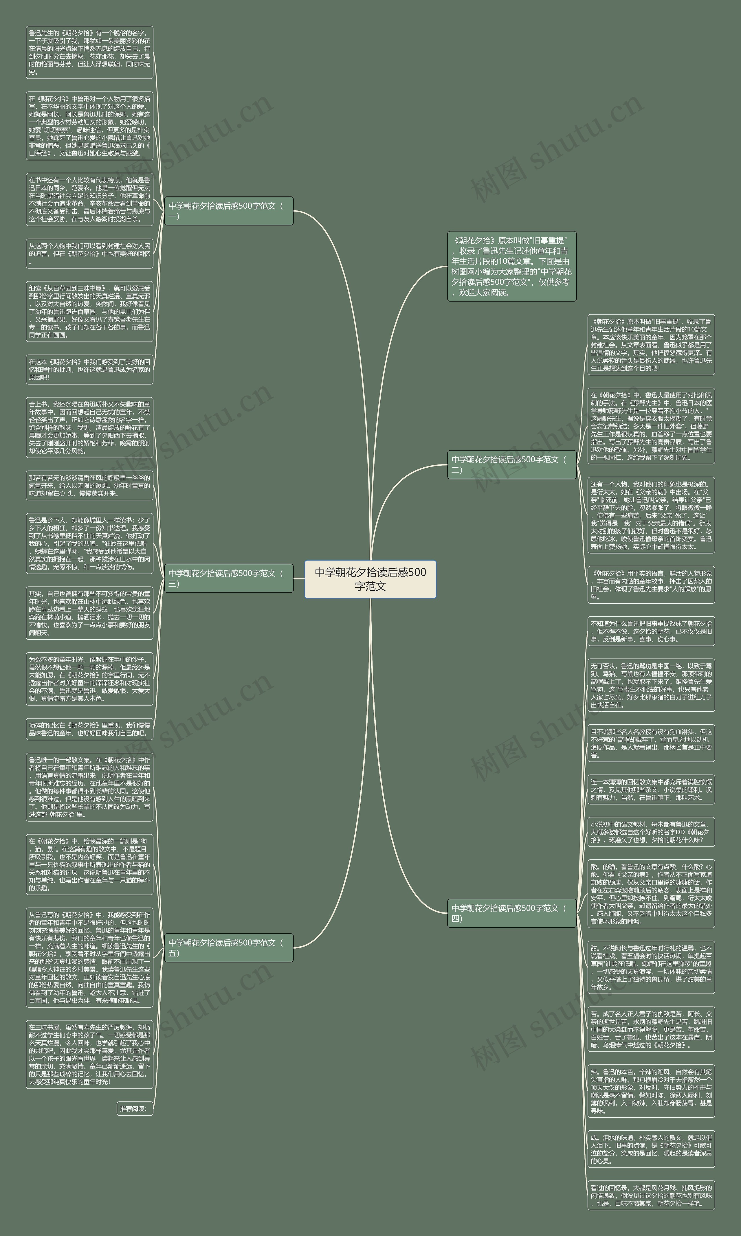 中学朝花夕拾读后感500字范文思维导图