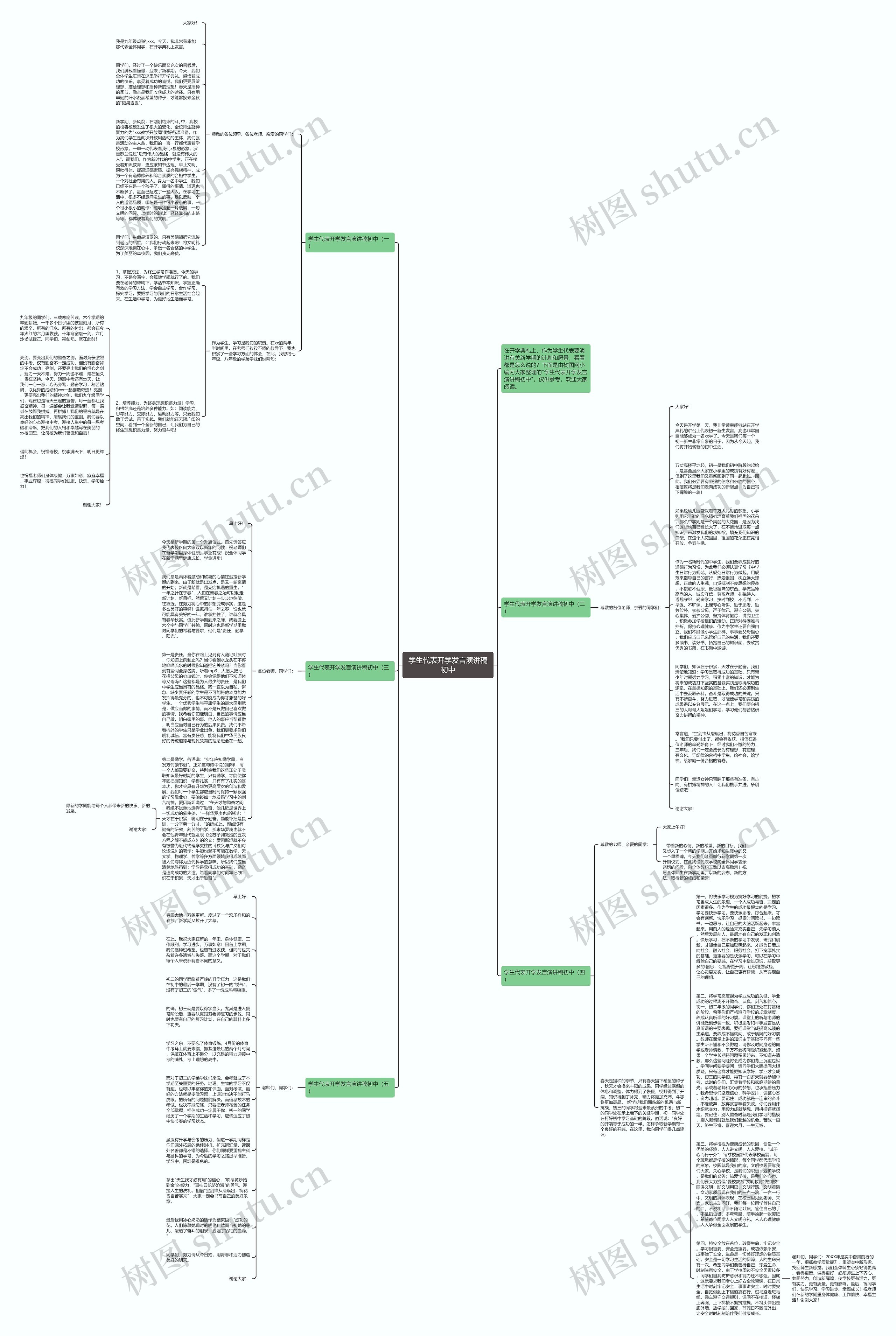 学生代表开学发言演讲稿初中思维导图