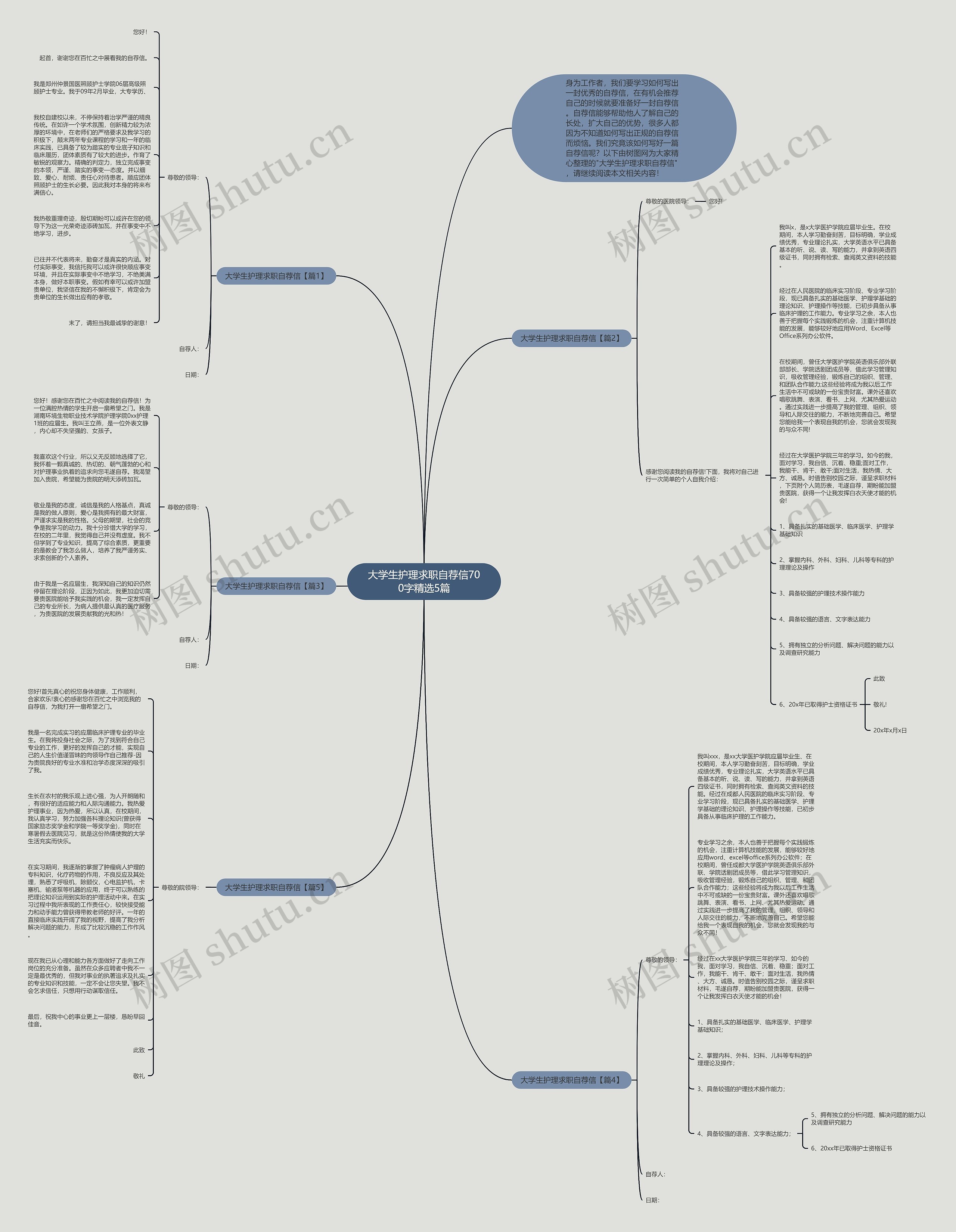 大学生护理求职自荐信700字精选5篇思维导图