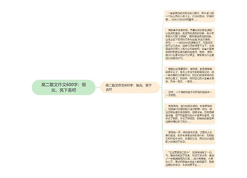 高二散文作文600字：银光，亮下去吧