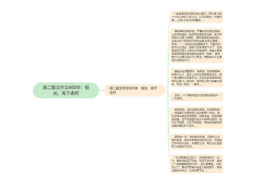 高二散文作文600字：银光，亮下去吧