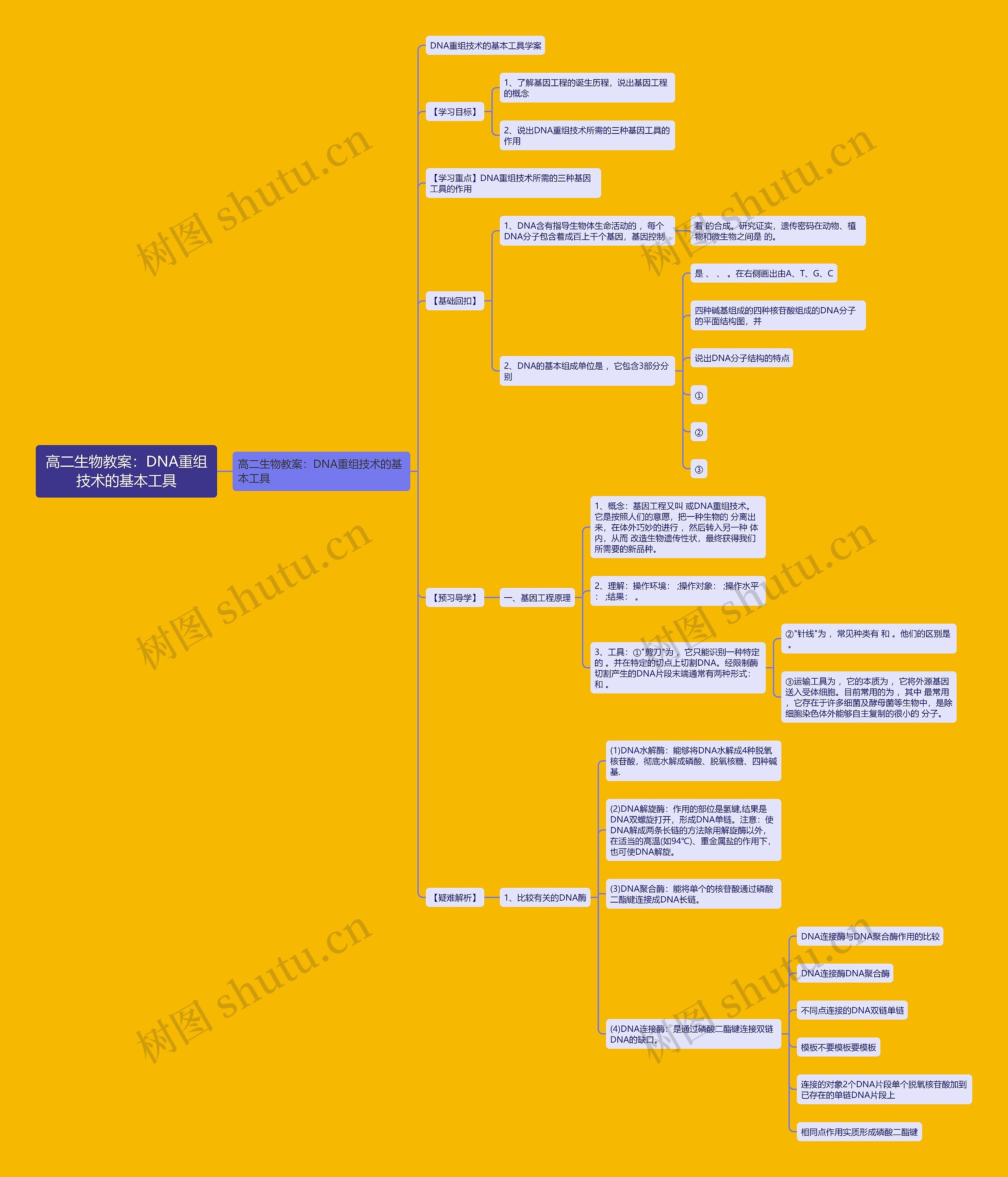 高二生物教案：DNA重组技术的基本工具思维导图