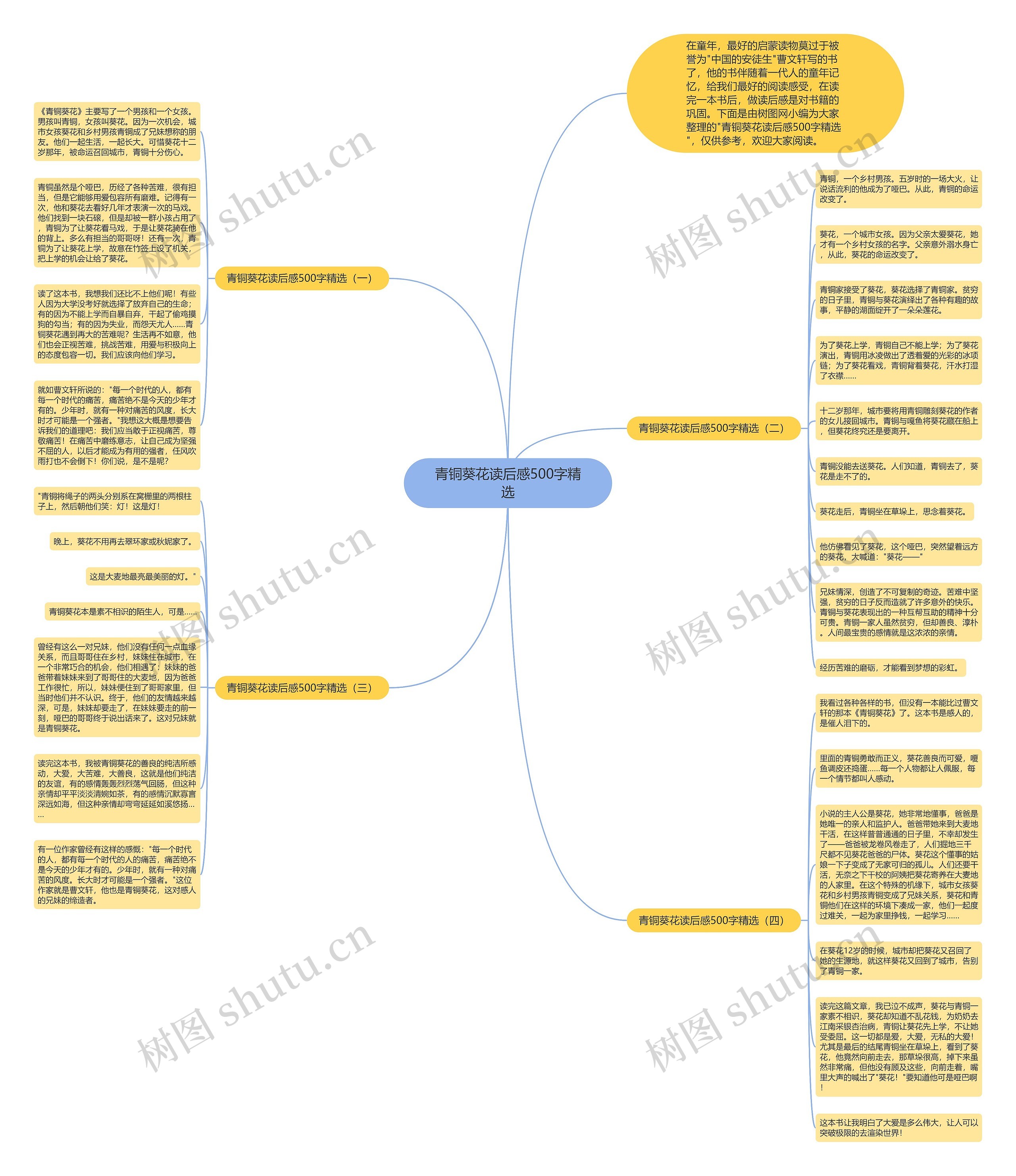 青铜葵花读后感500字精选思维导图
