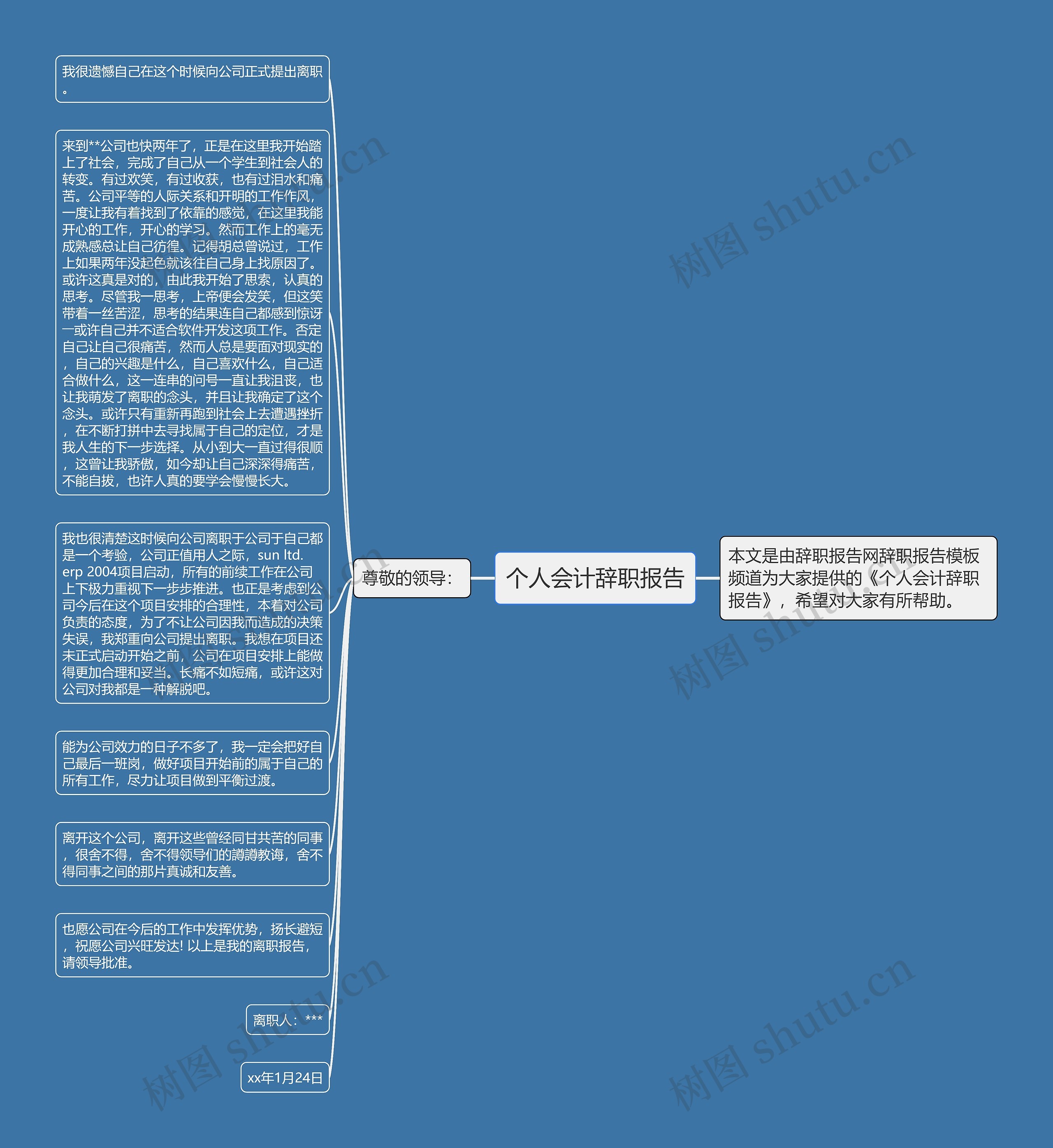 个人会计辞职报告