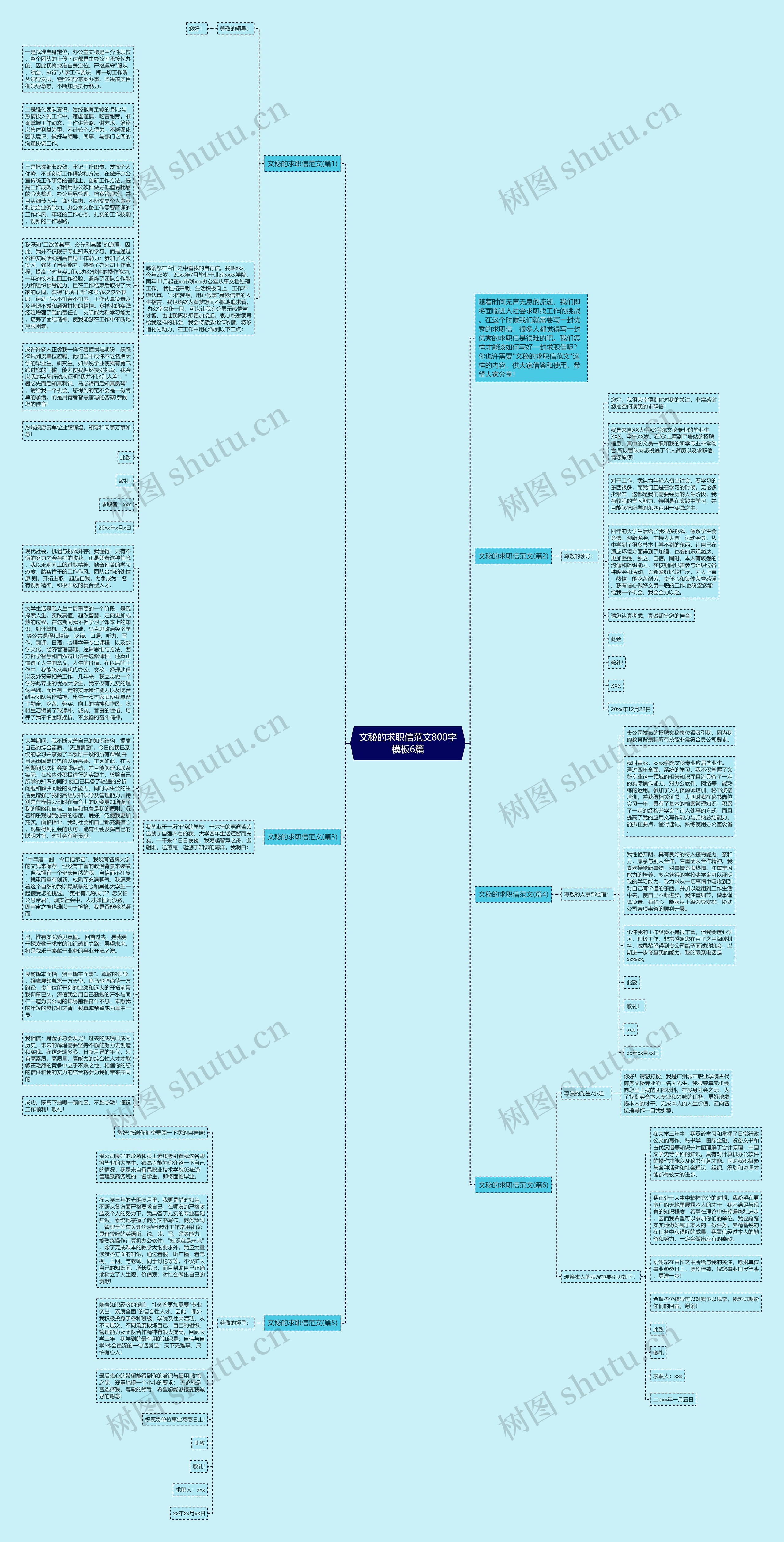 文秘的求职信范文800字6篇思维导图