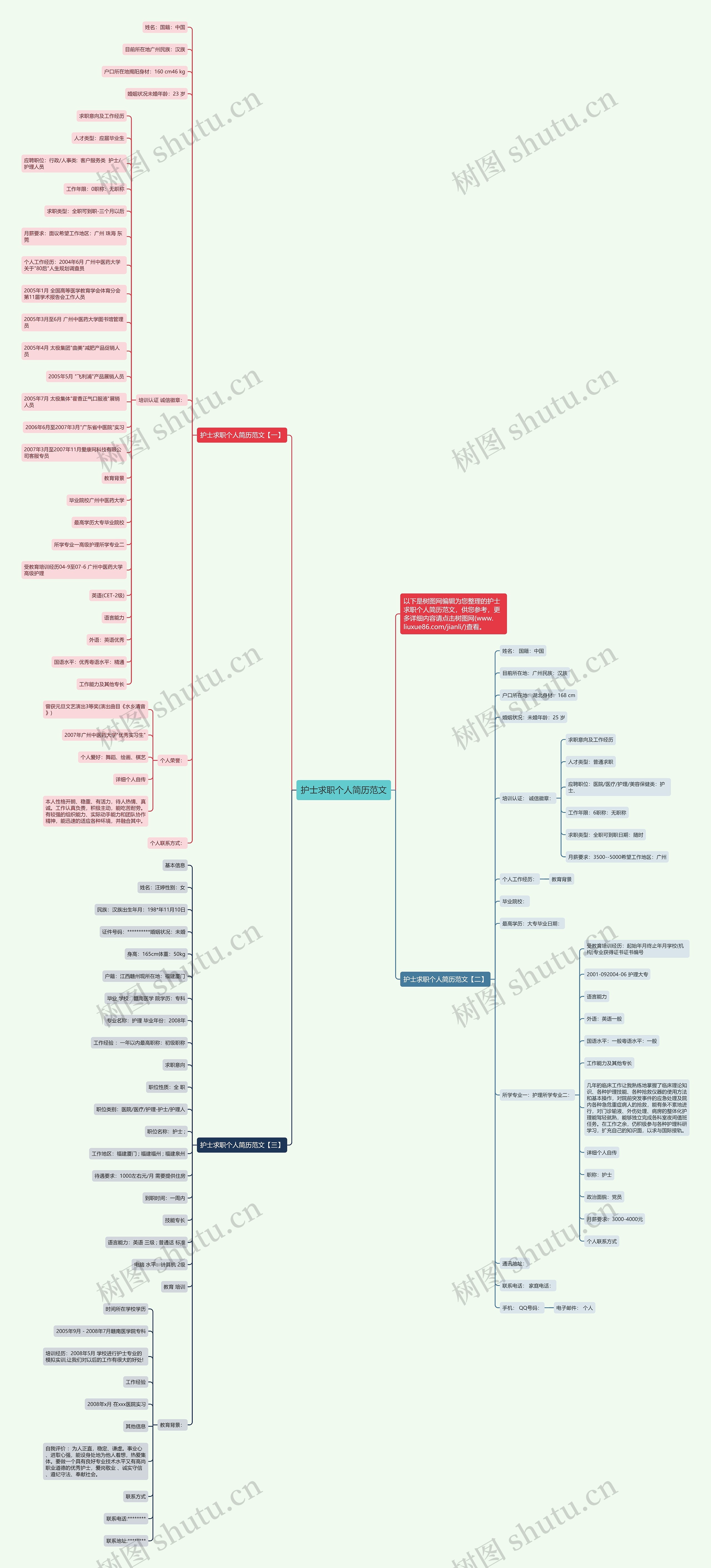 护士求职个人简历范文思维导图
