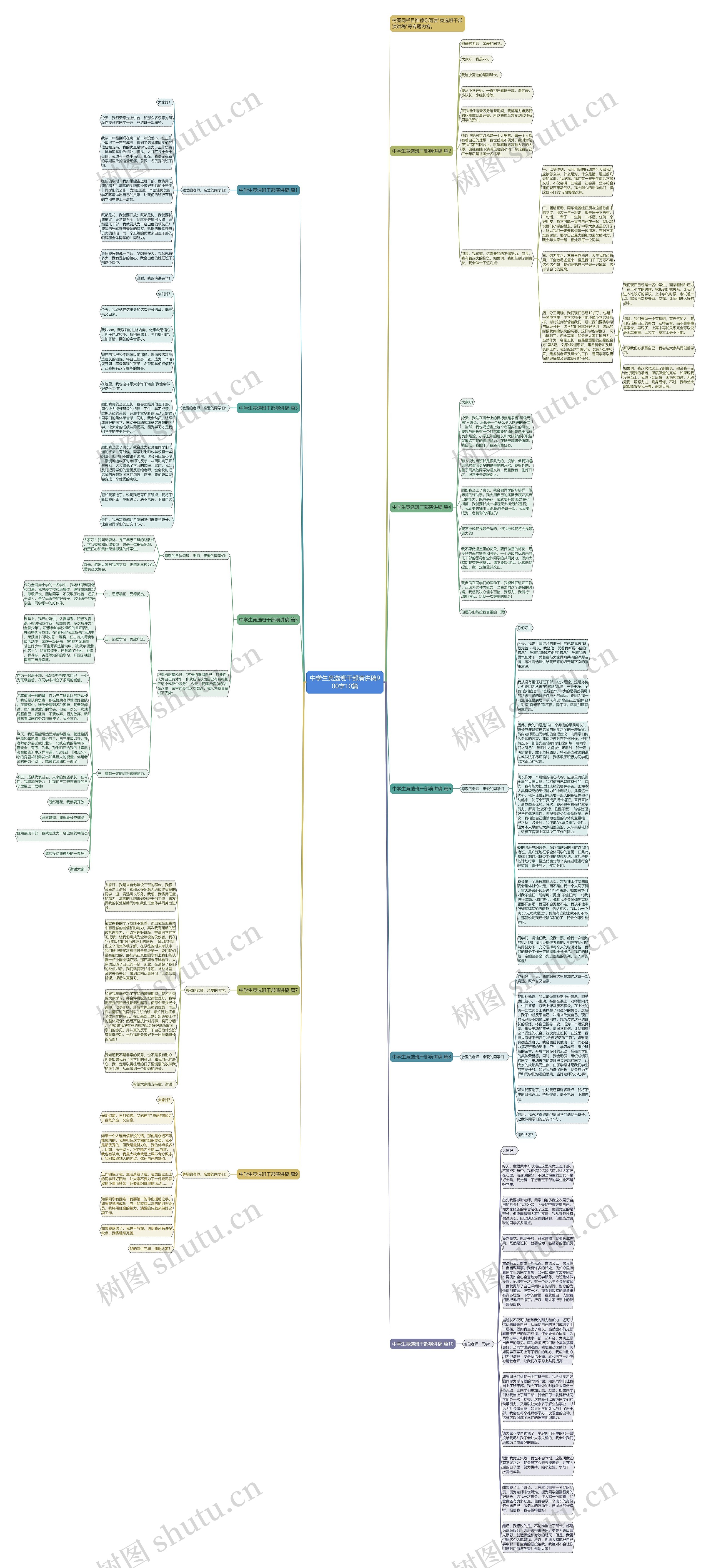 中学生竞选班干部演讲稿900字10篇思维导图