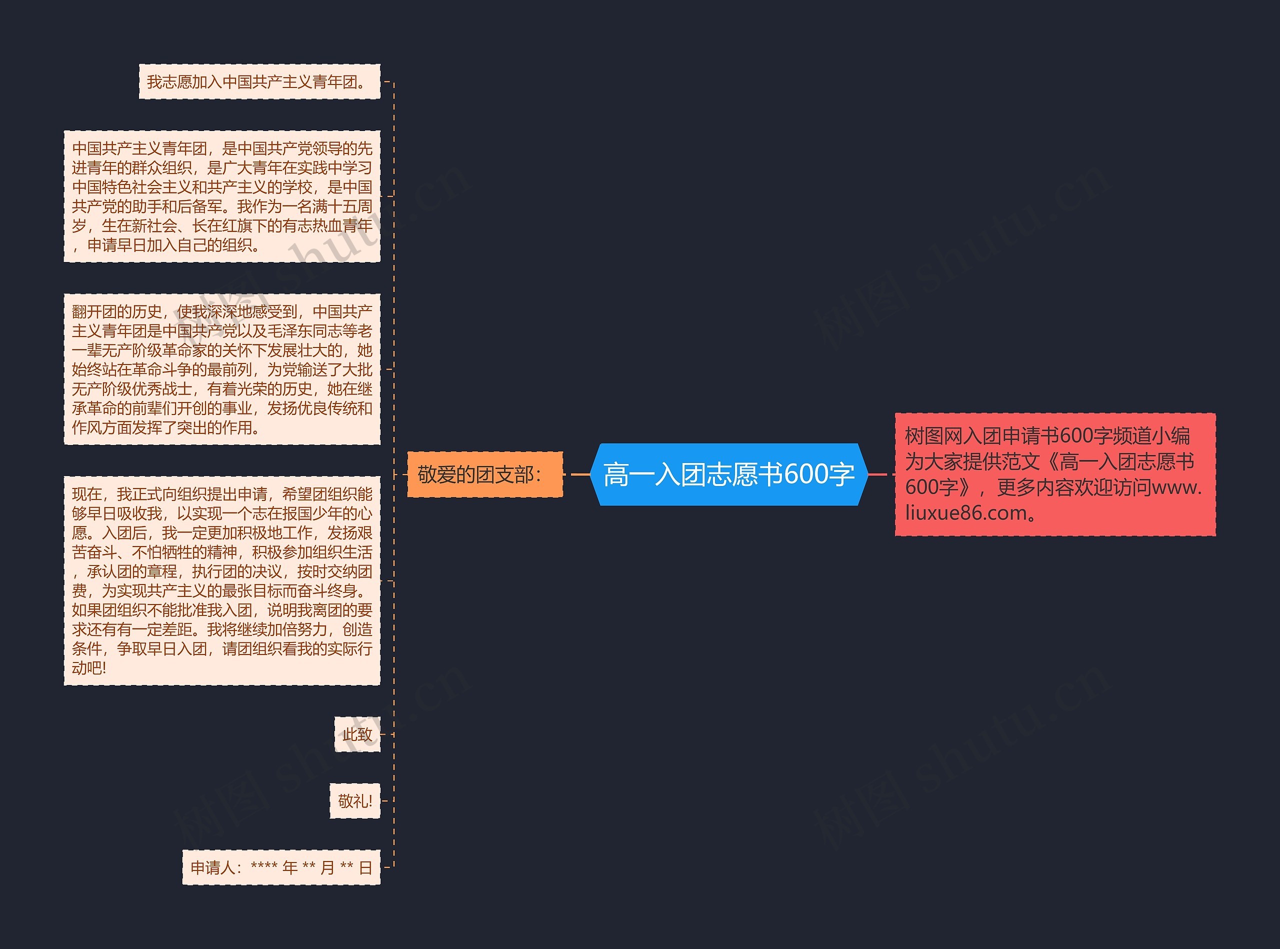 高一入团志愿书600字