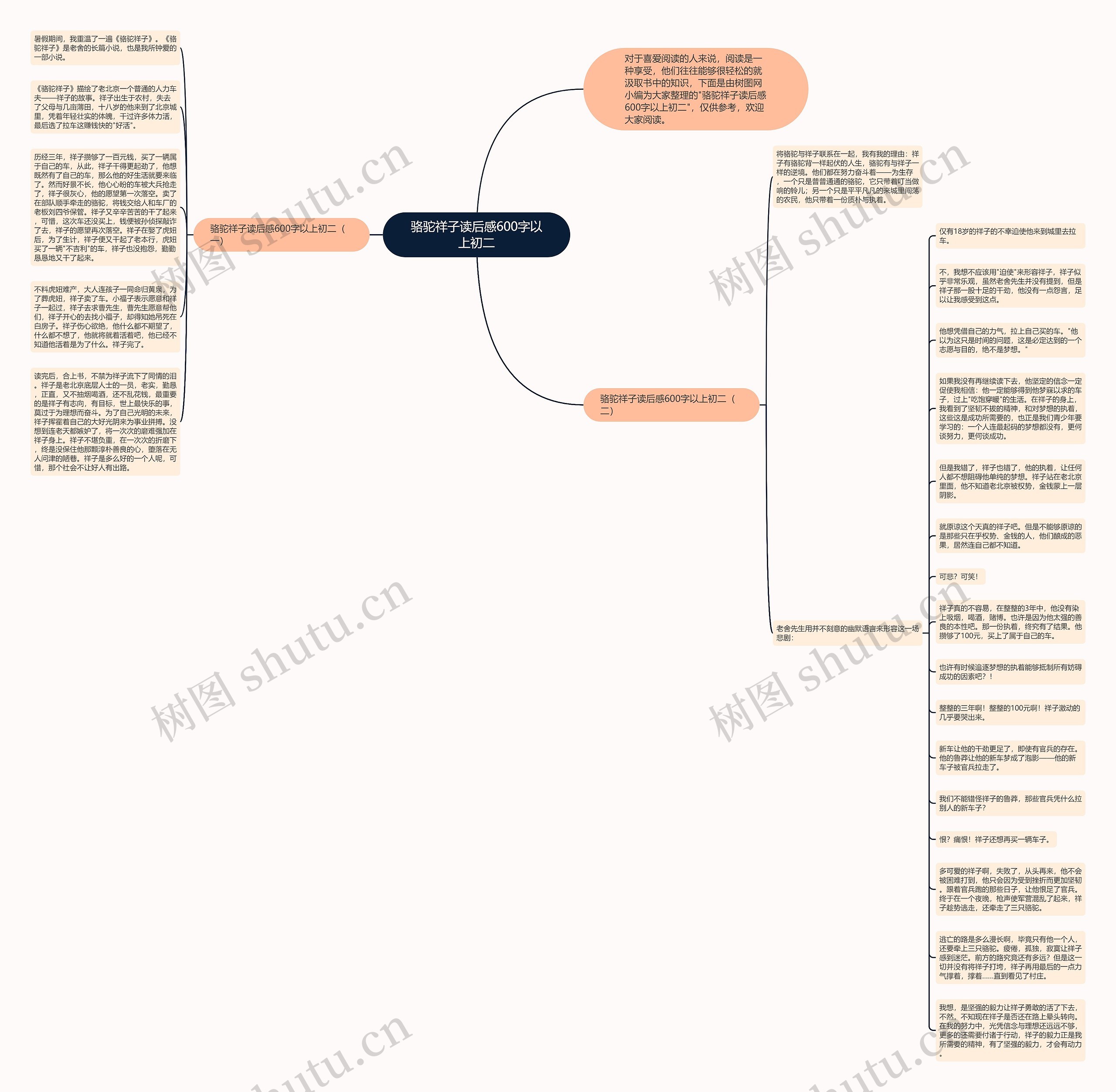 骆驼祥子读后感600字以上初二思维导图