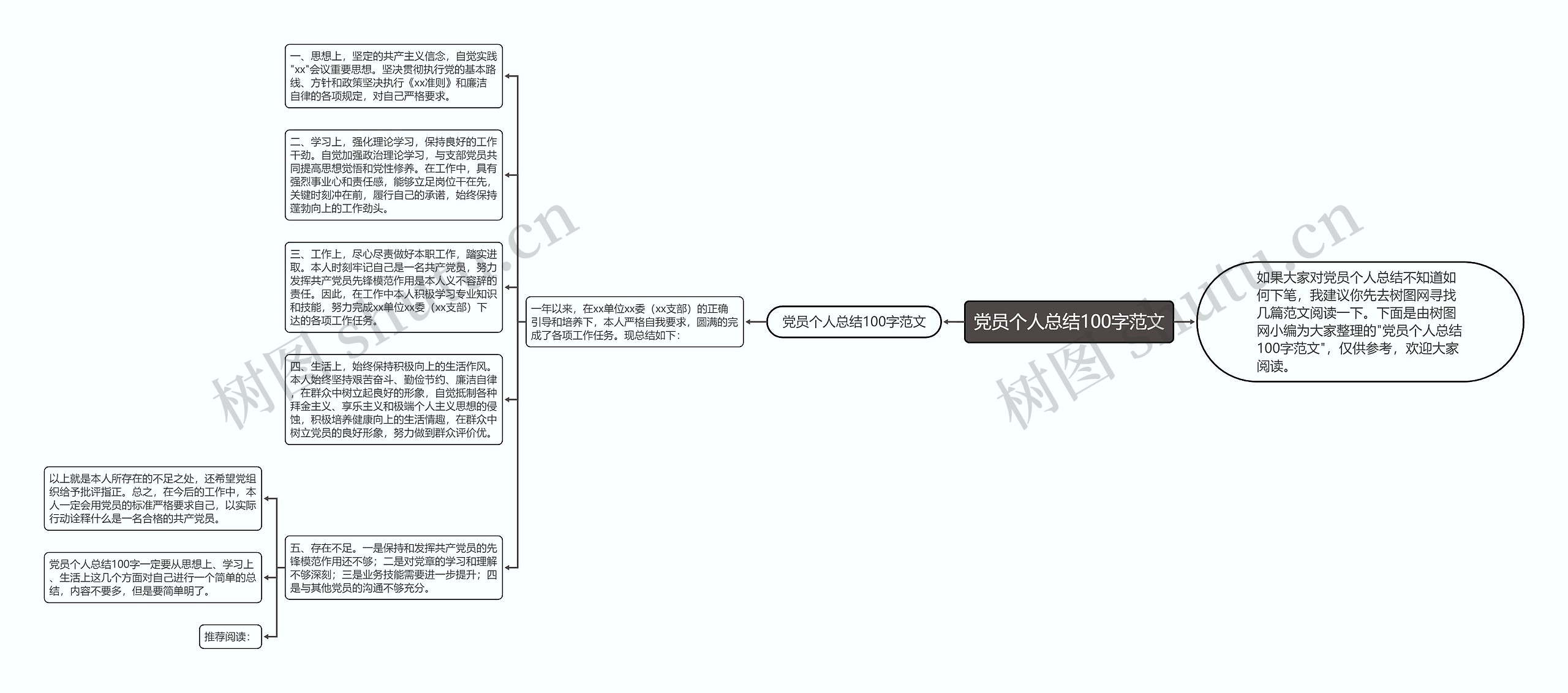 党员个人总结100字范文思维导图