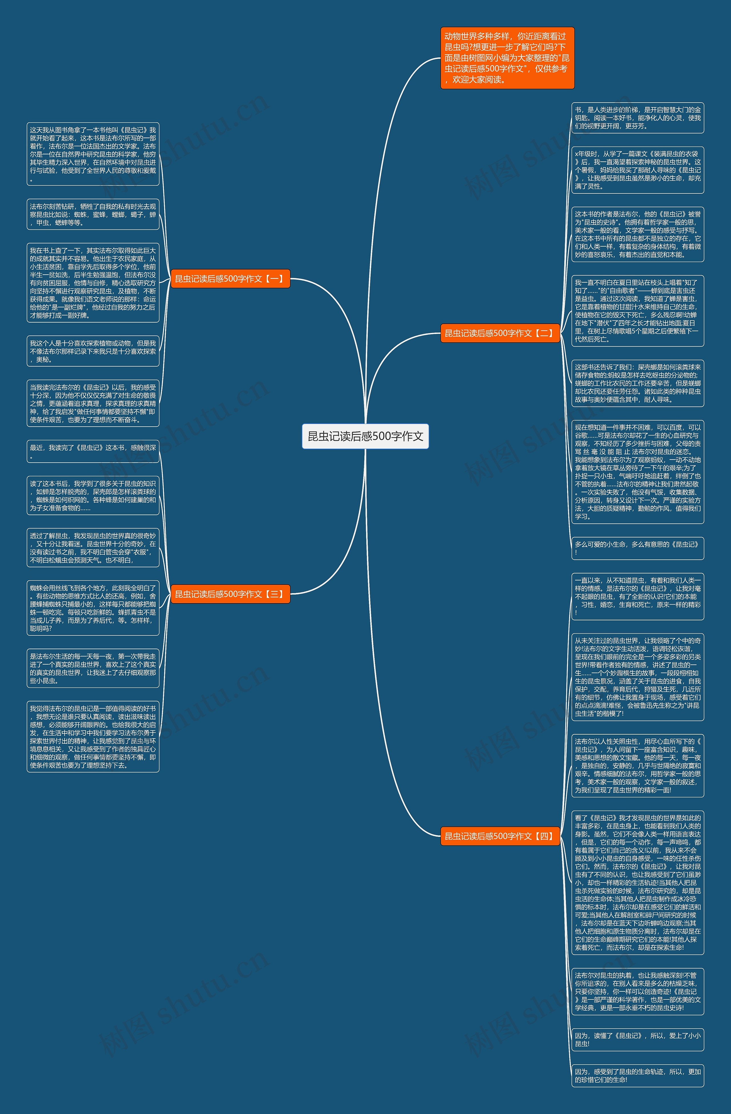 昆虫记读后感500字作文思维导图