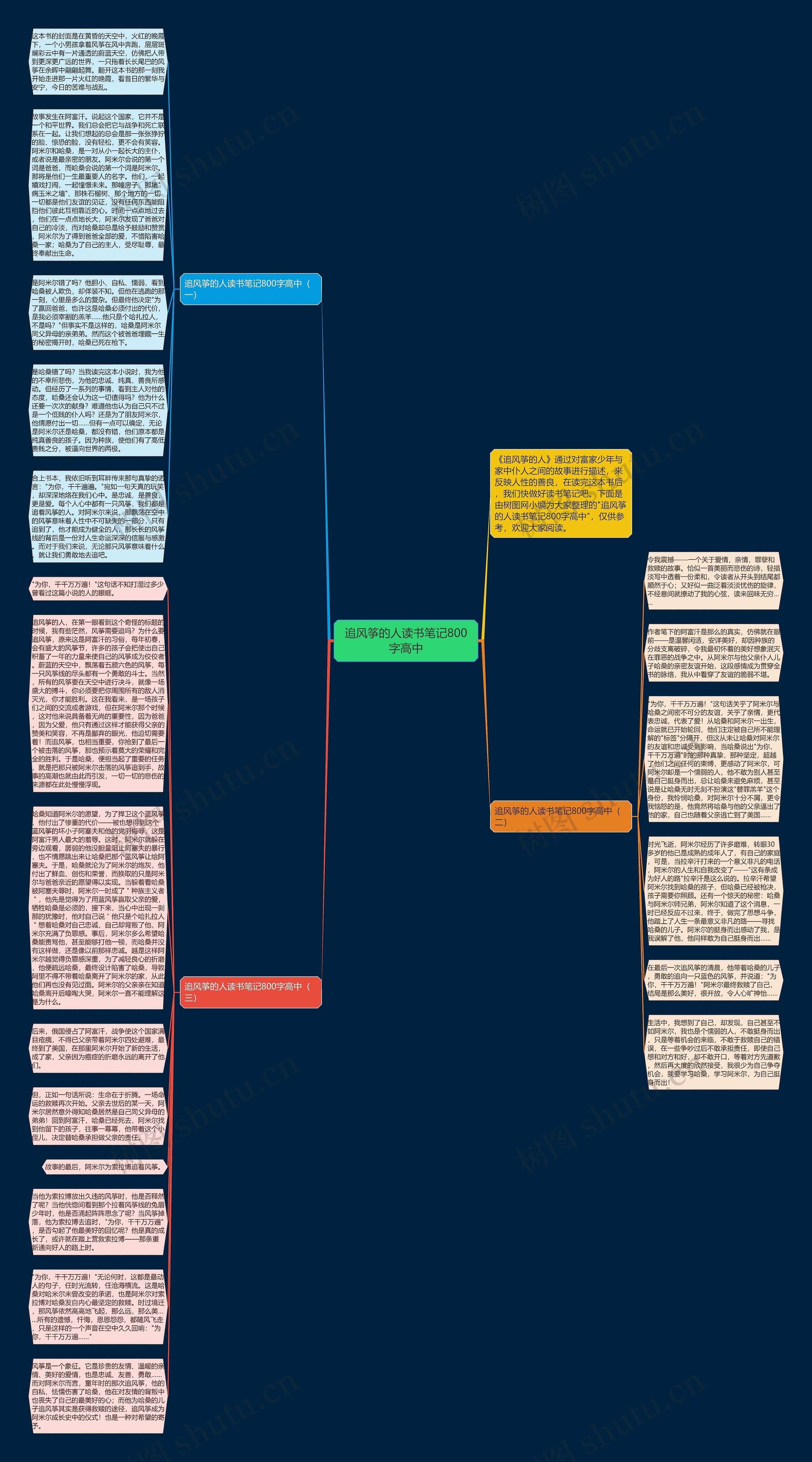 追风筝的人读书笔记800字高中思维导图