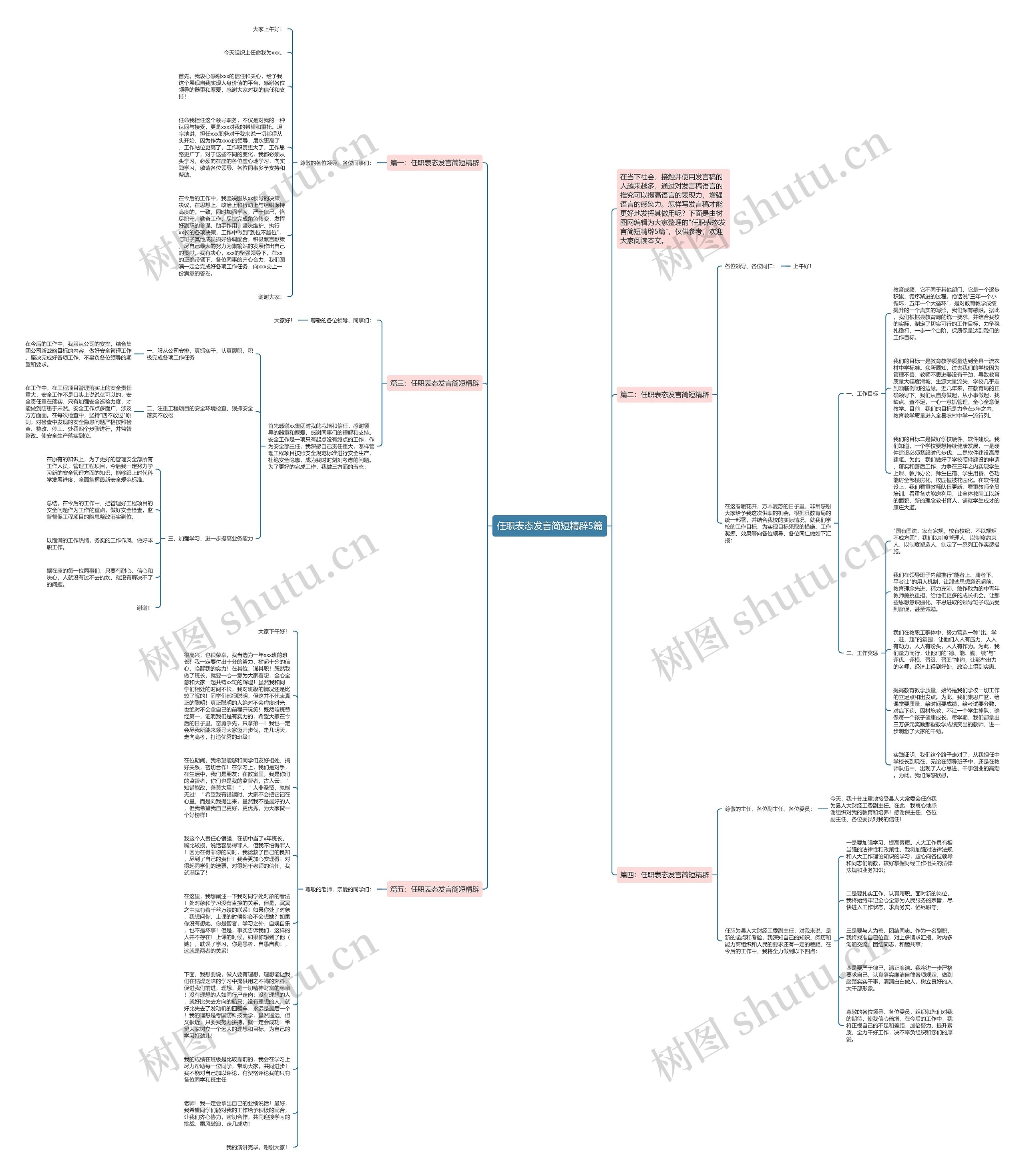 任职表态发言简短精辟5篇思维导图
