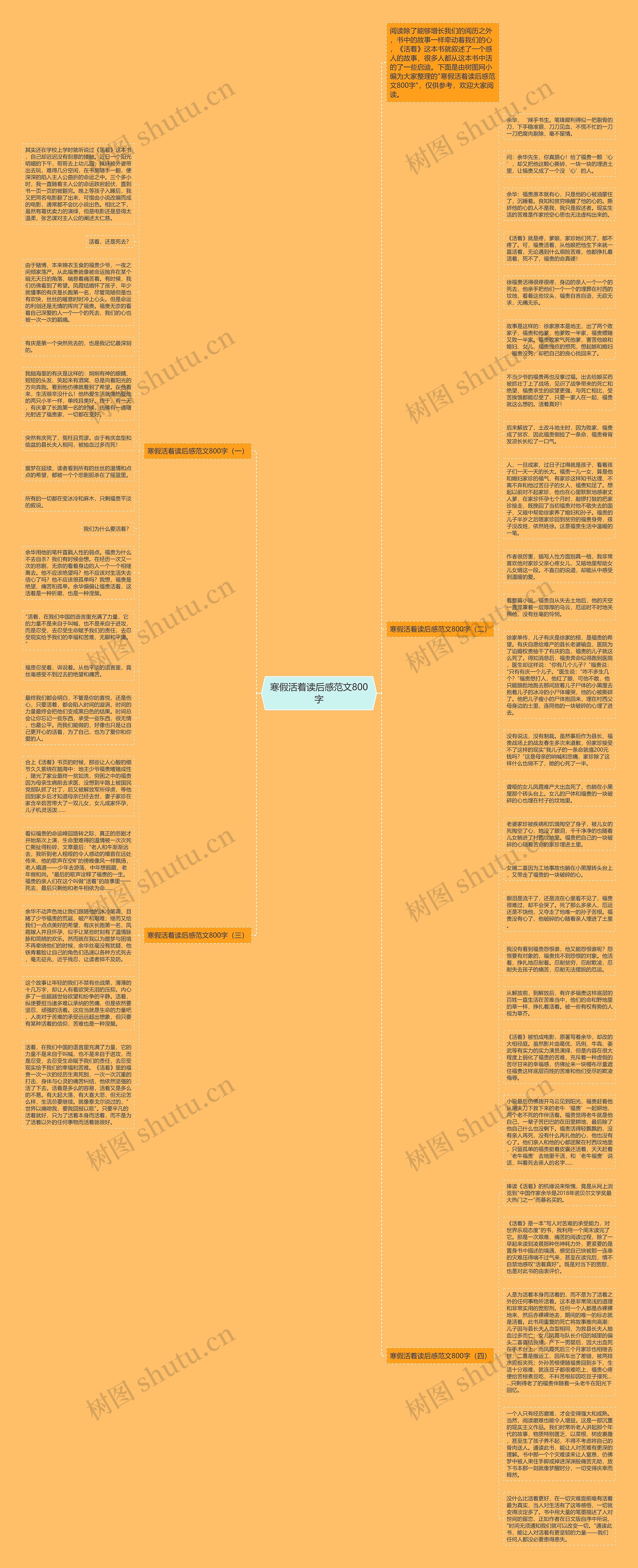 寒假活着读后感范文800字思维导图