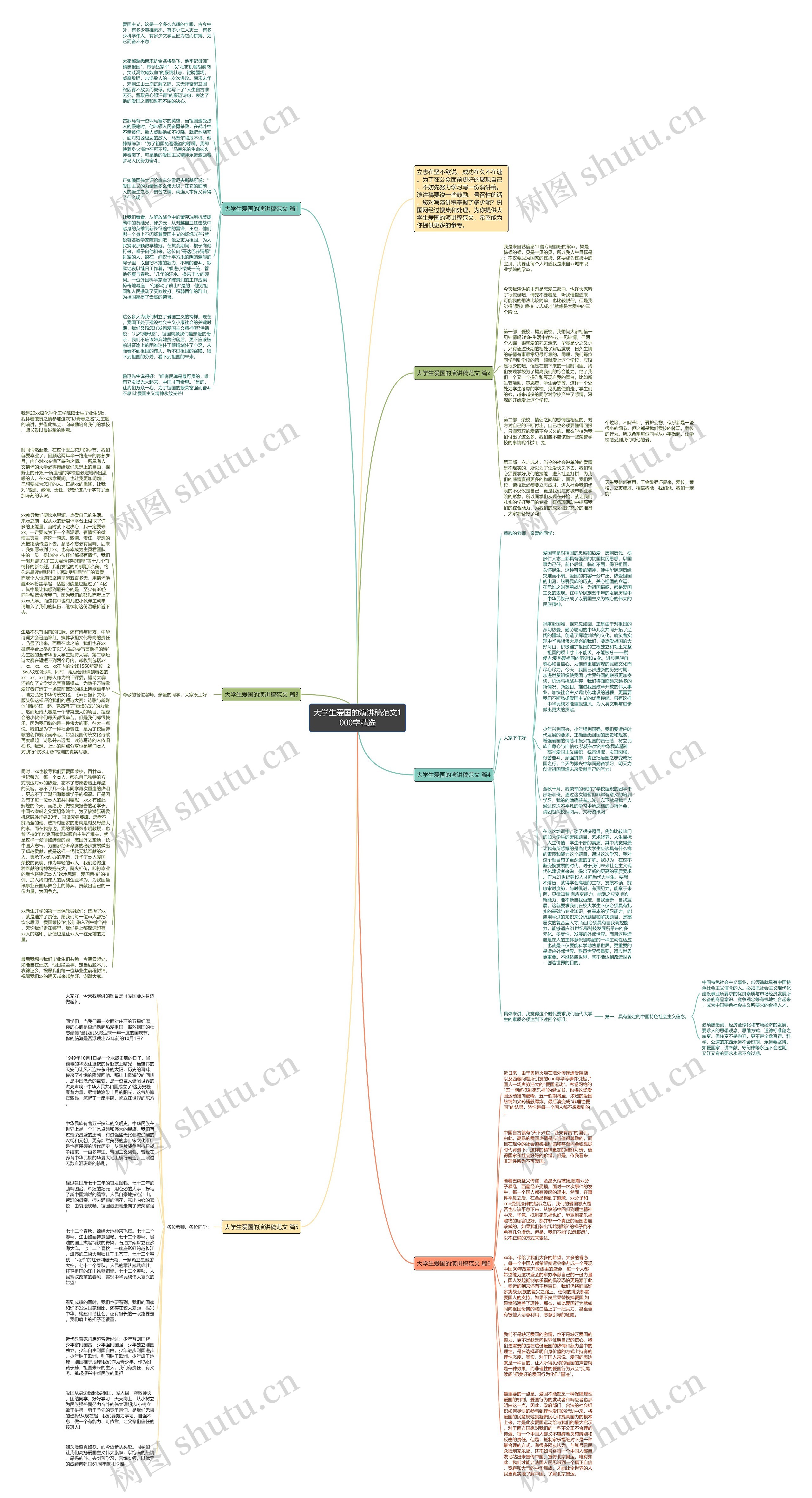 大学生爱国的演讲稿范文1000字精选思维导图