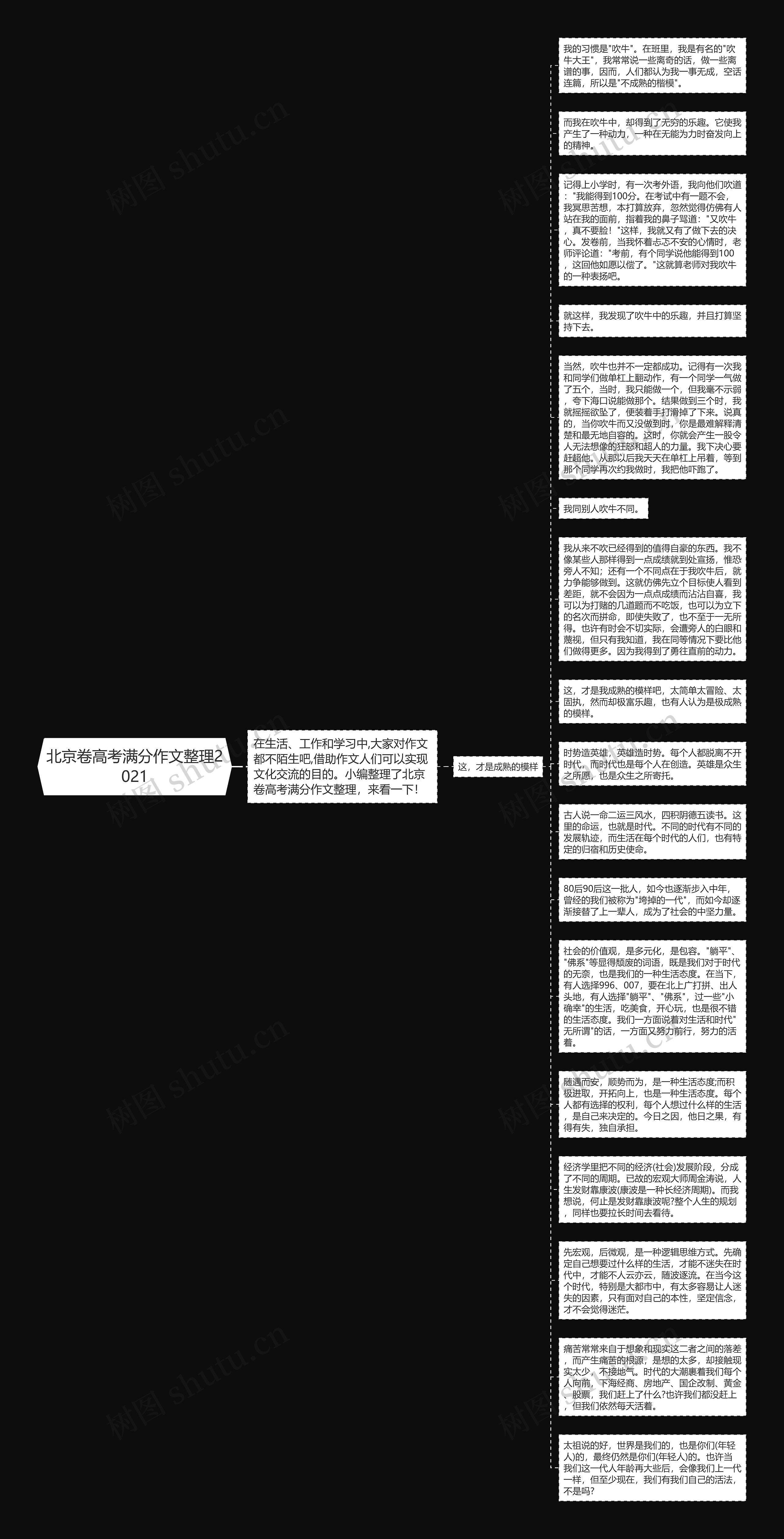 北京卷高考满分作文整理2021思维导图