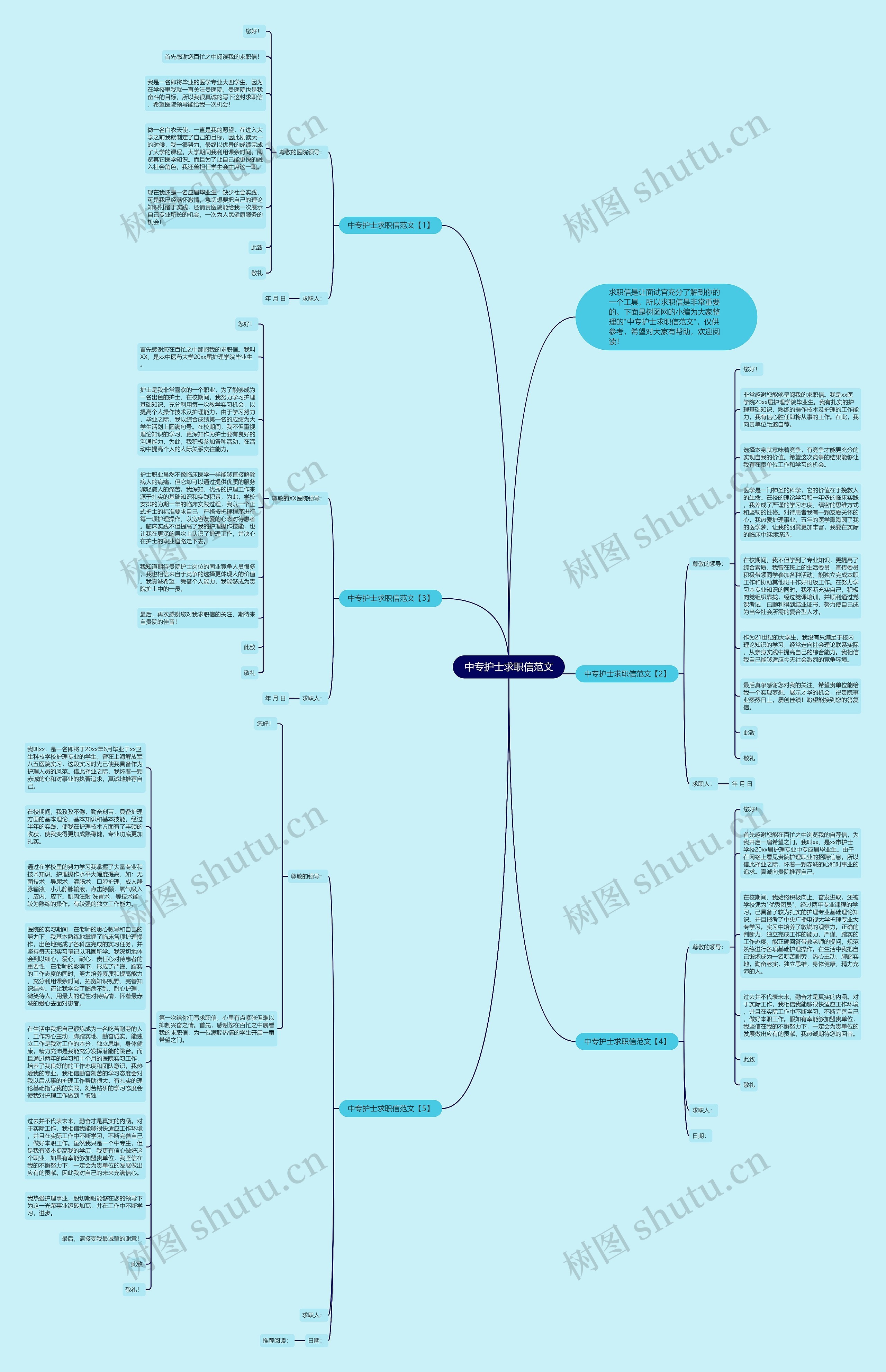 中专护士求职信范文思维导图
