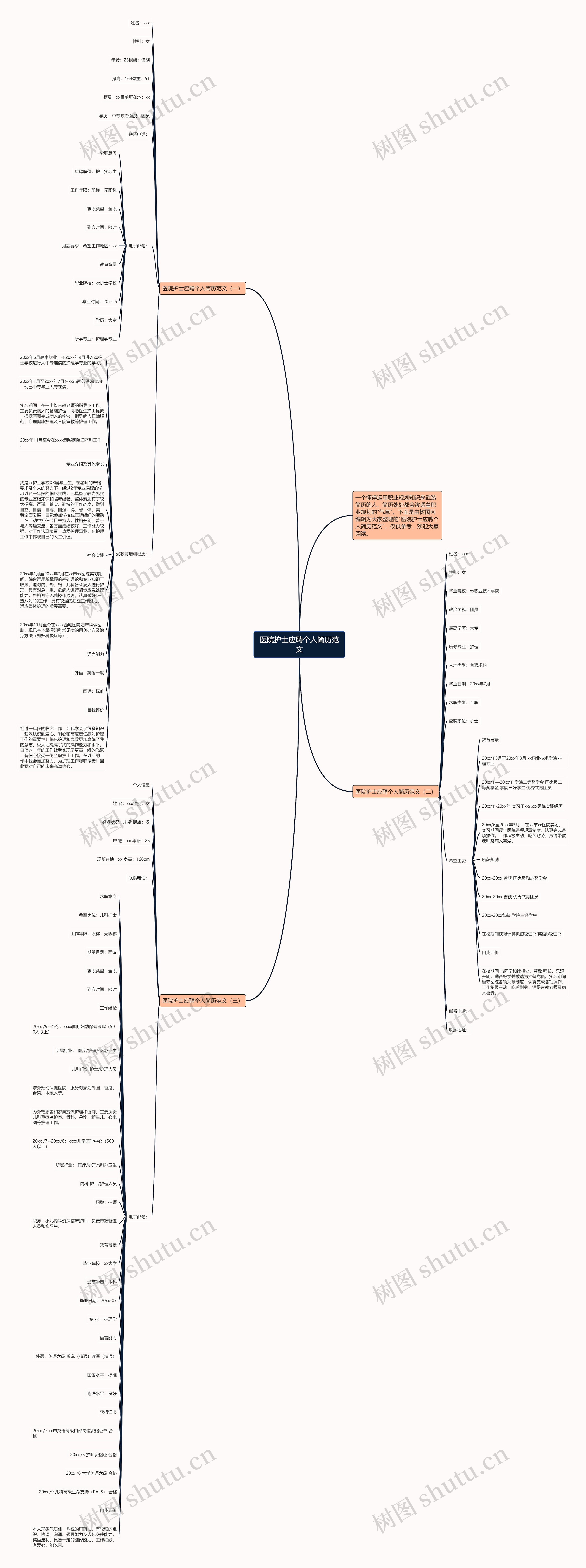 医院护士应聘个人简历范文思维导图
