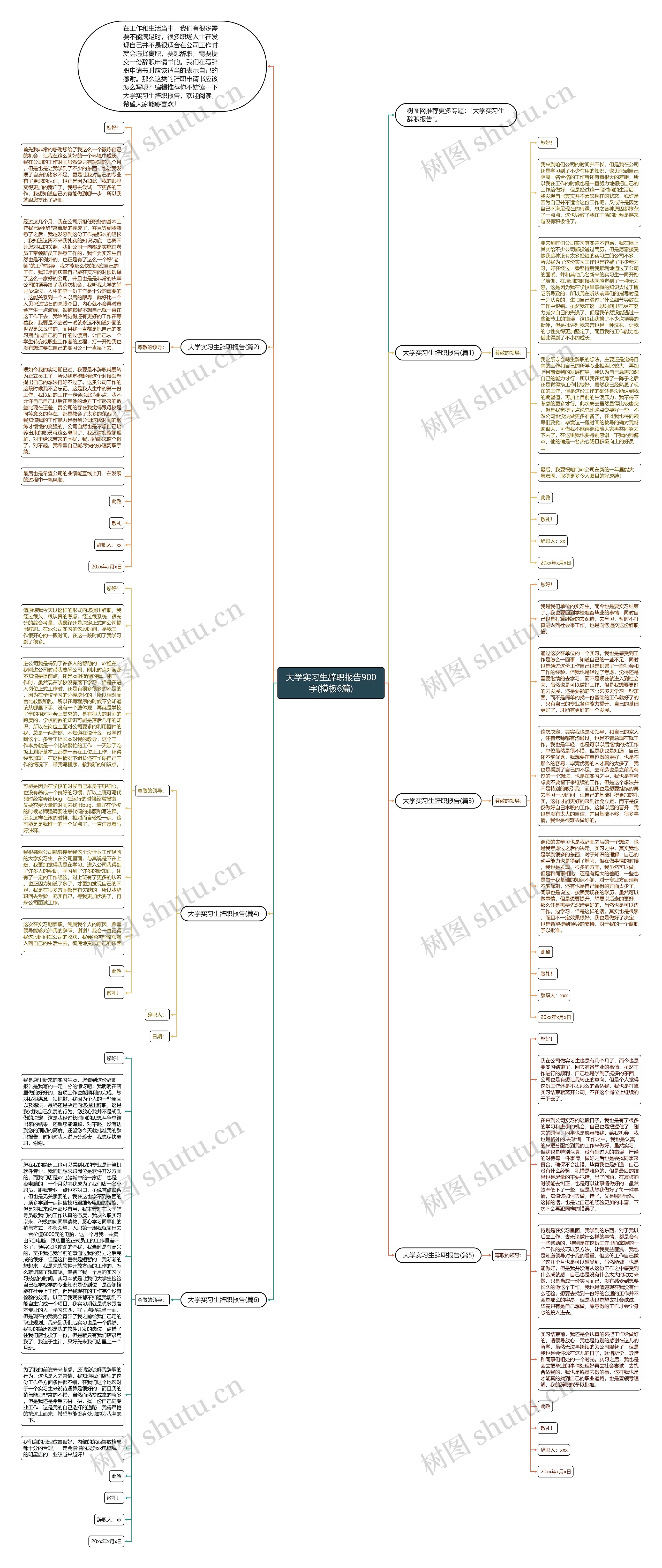 大学实习生辞职报告900字(6篇)思维导图