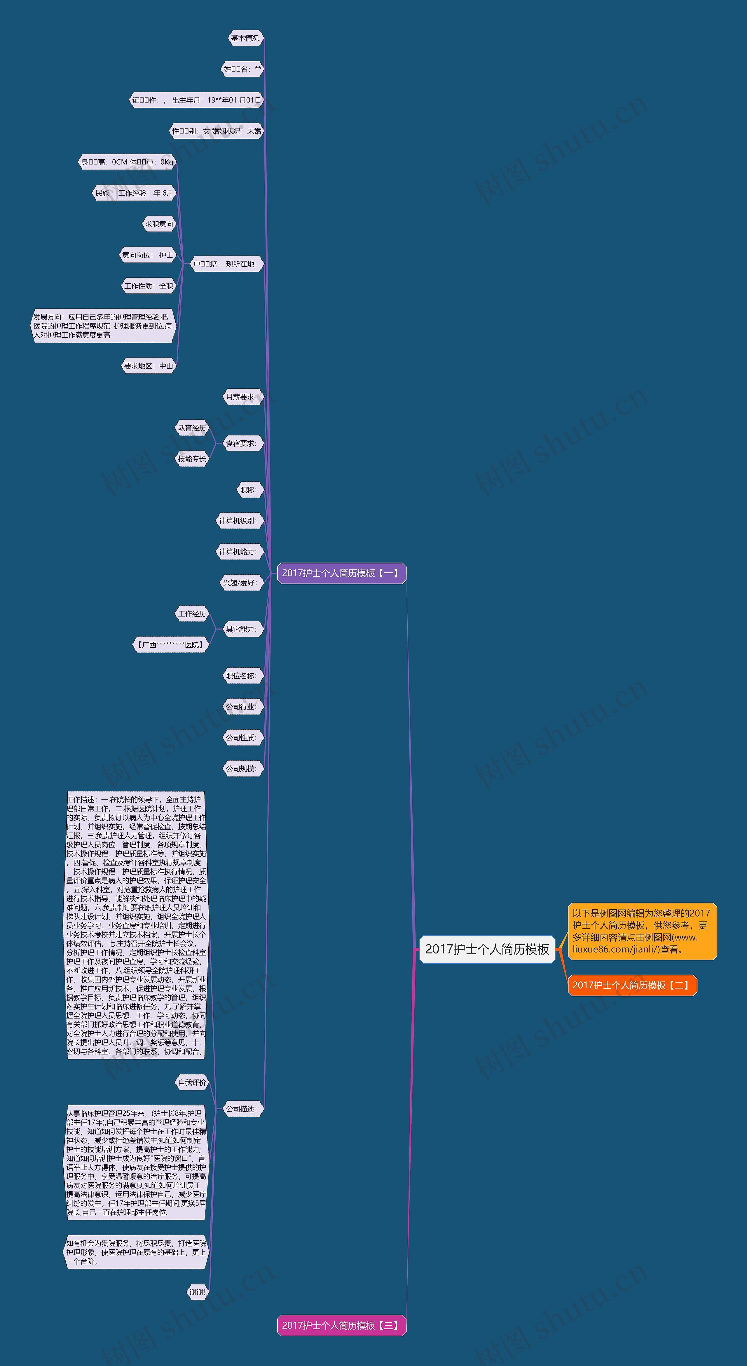2017护士个人简历思维导图