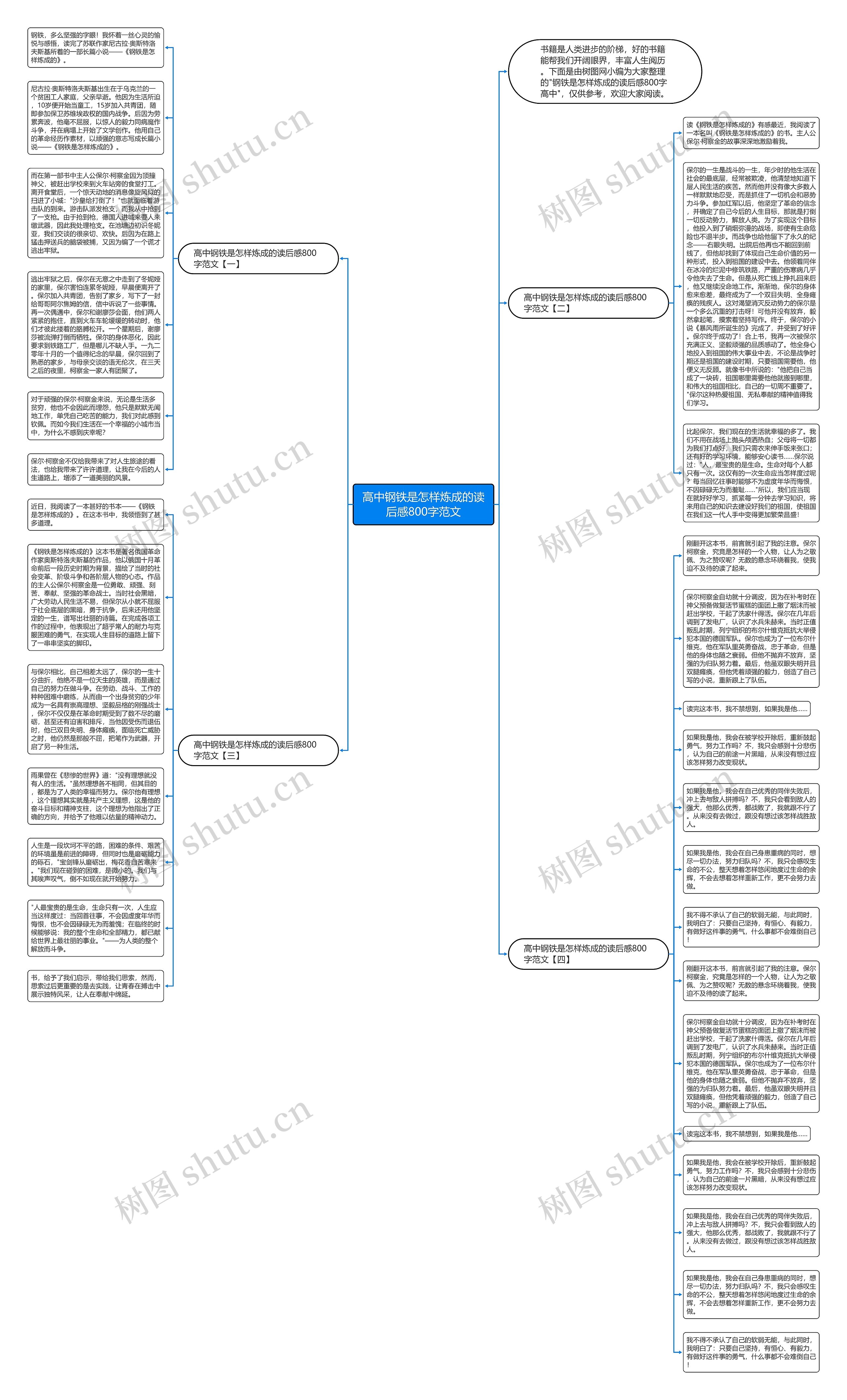 高中钢铁是怎样炼成的读后感800字范文思维导图