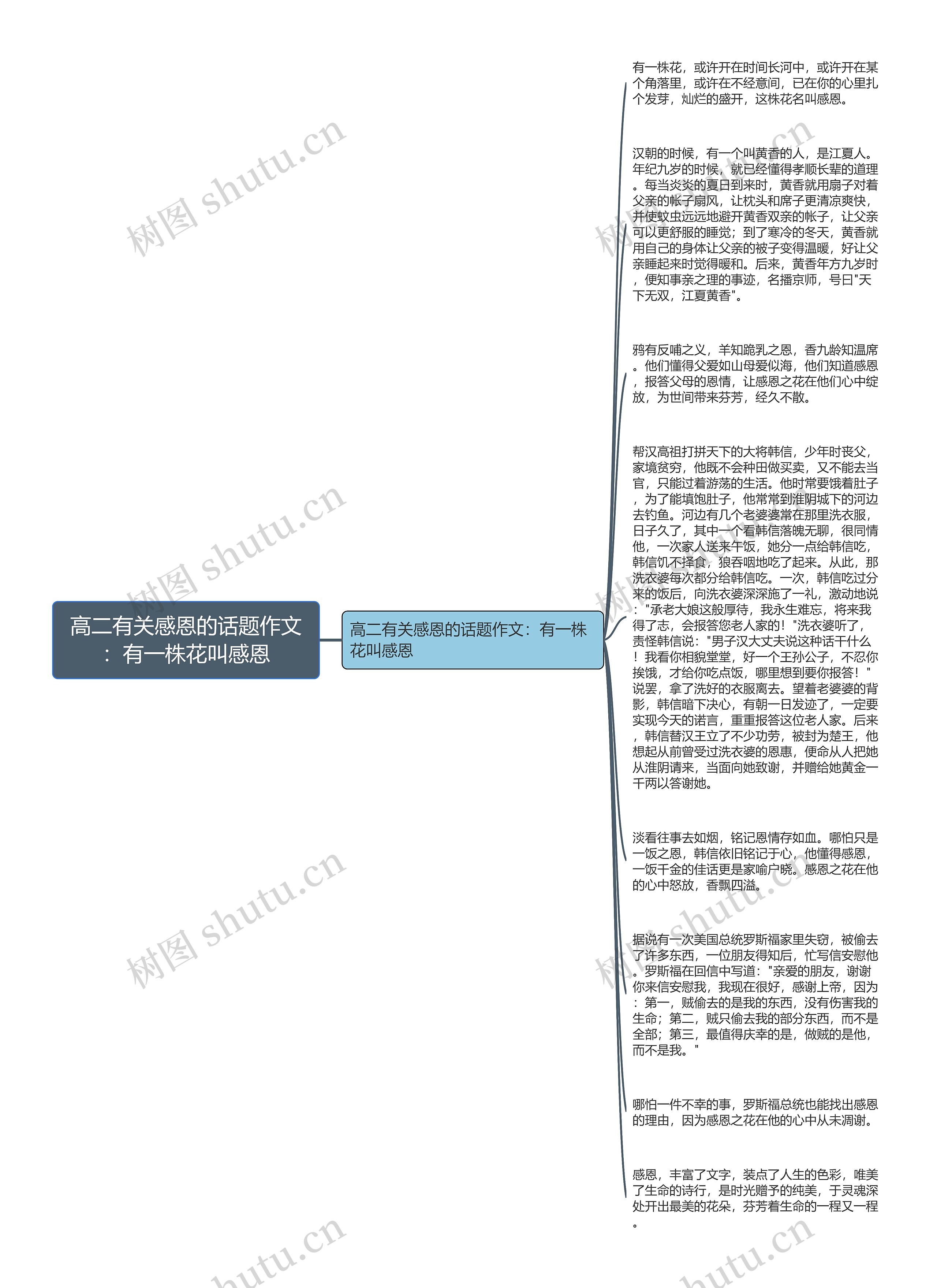 高二有关感恩的话题作文：有一株花叫感恩思维导图