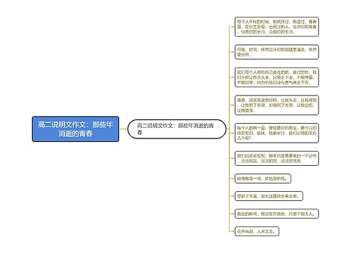 高二说明文作文：那些年消逝的青春