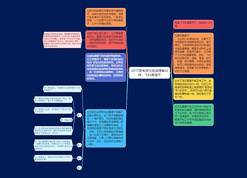 2017高考语文阅读理解训练：飞机黑匣子