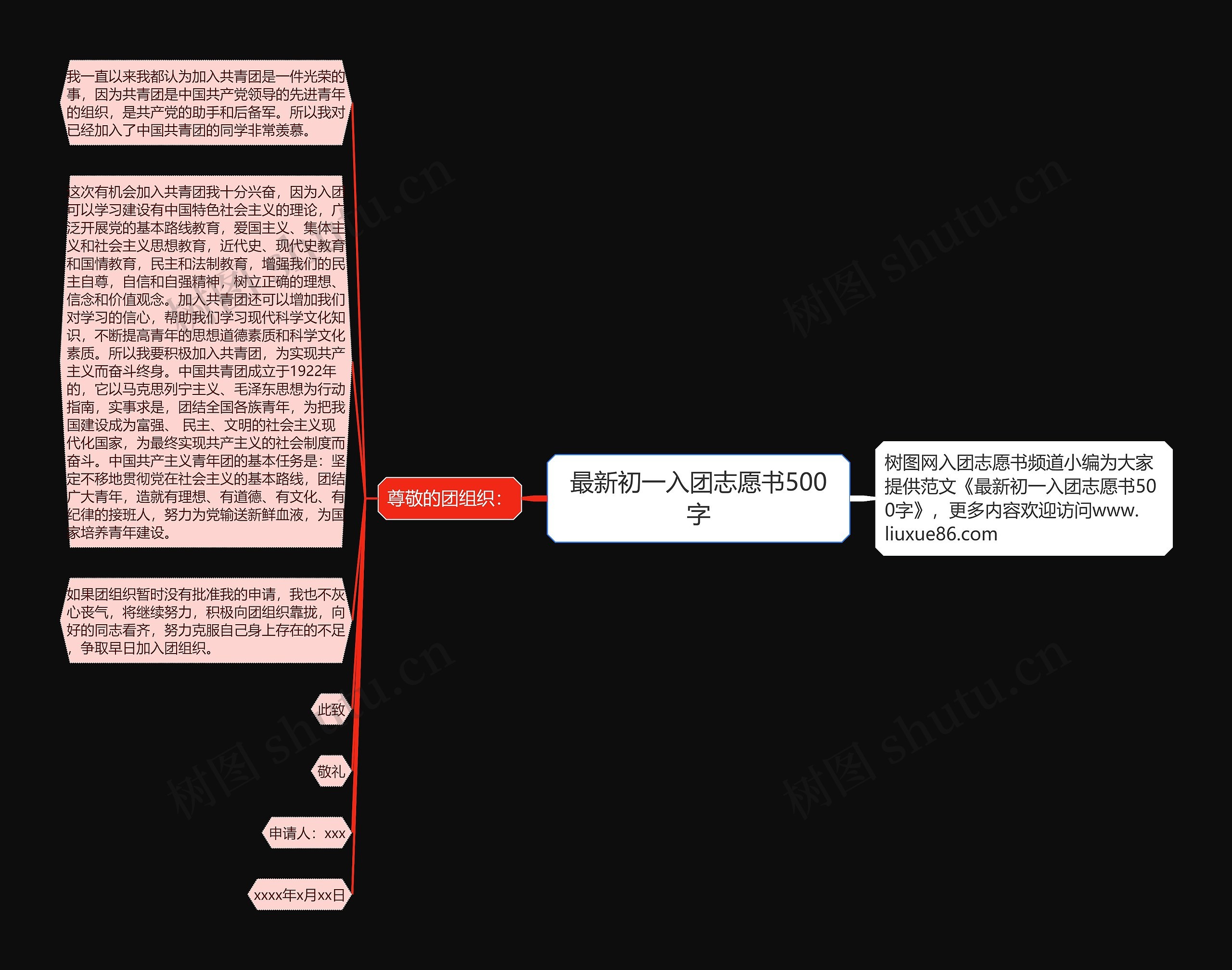 最新初一入团志愿书500字