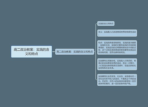 高二政治教案：实践的含义和特点