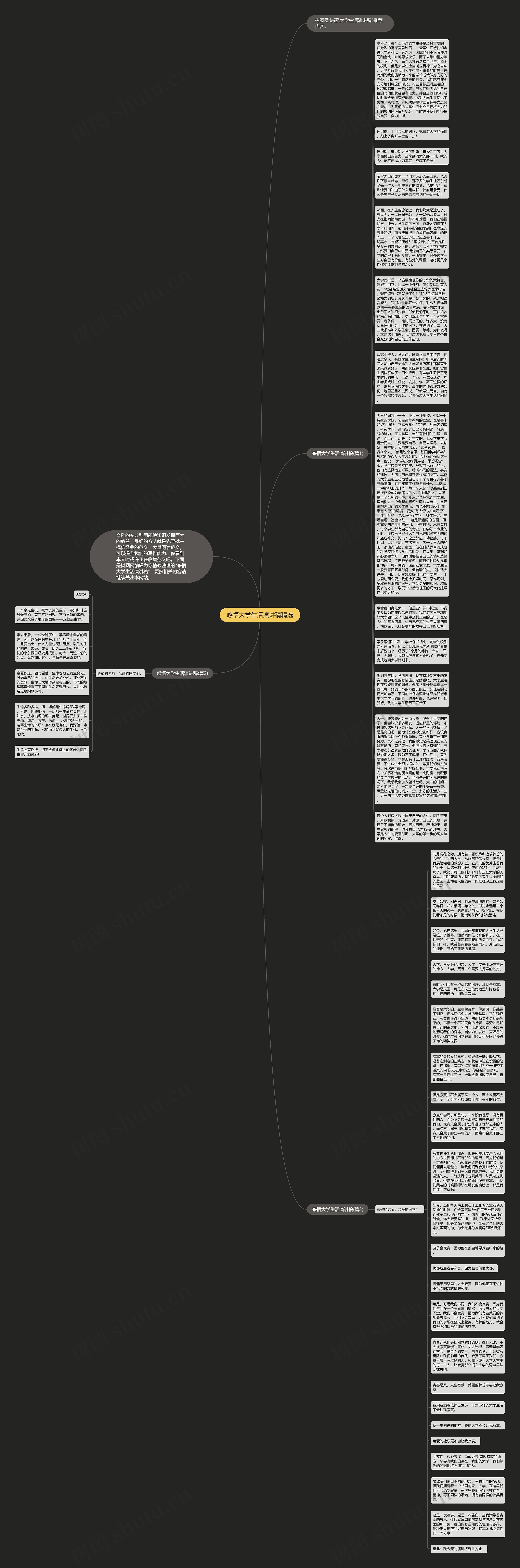 感悟大学生活演讲稿精选思维导图