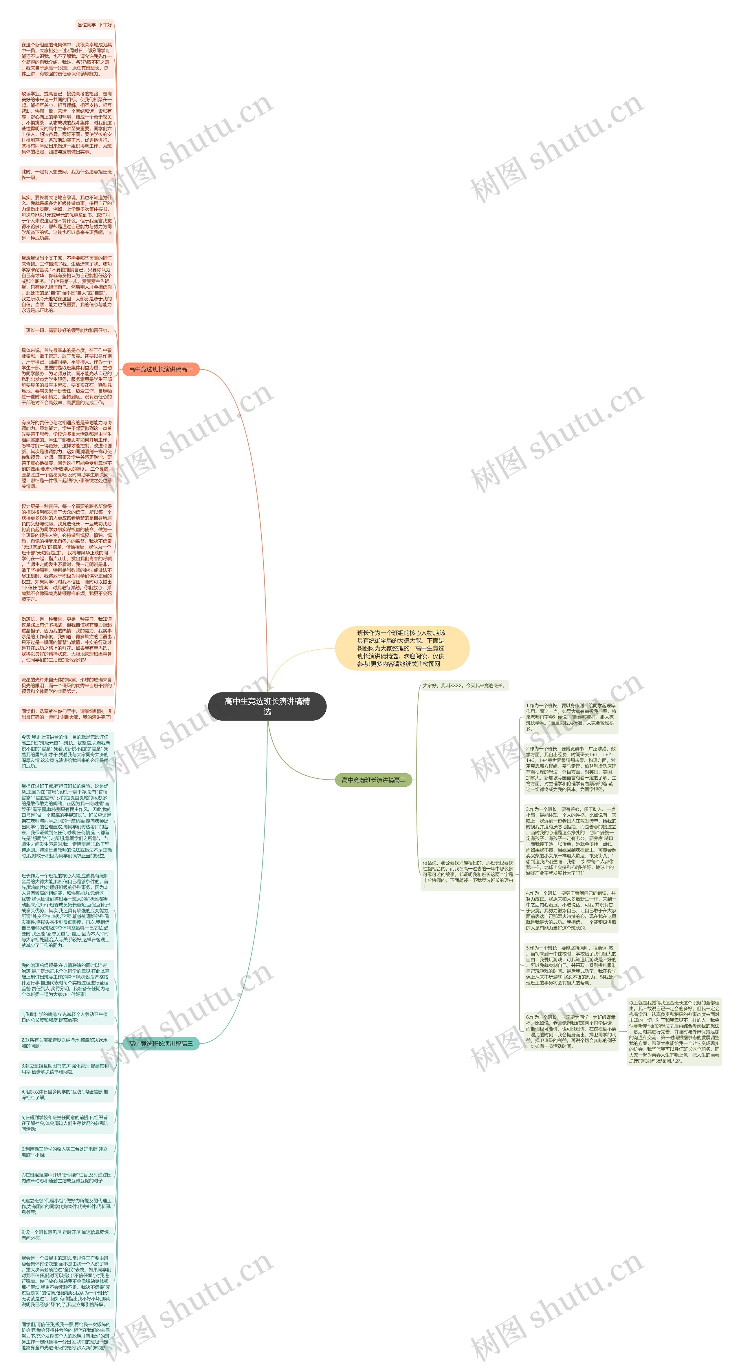 高中生竞选班长演讲稿精选思维导图
