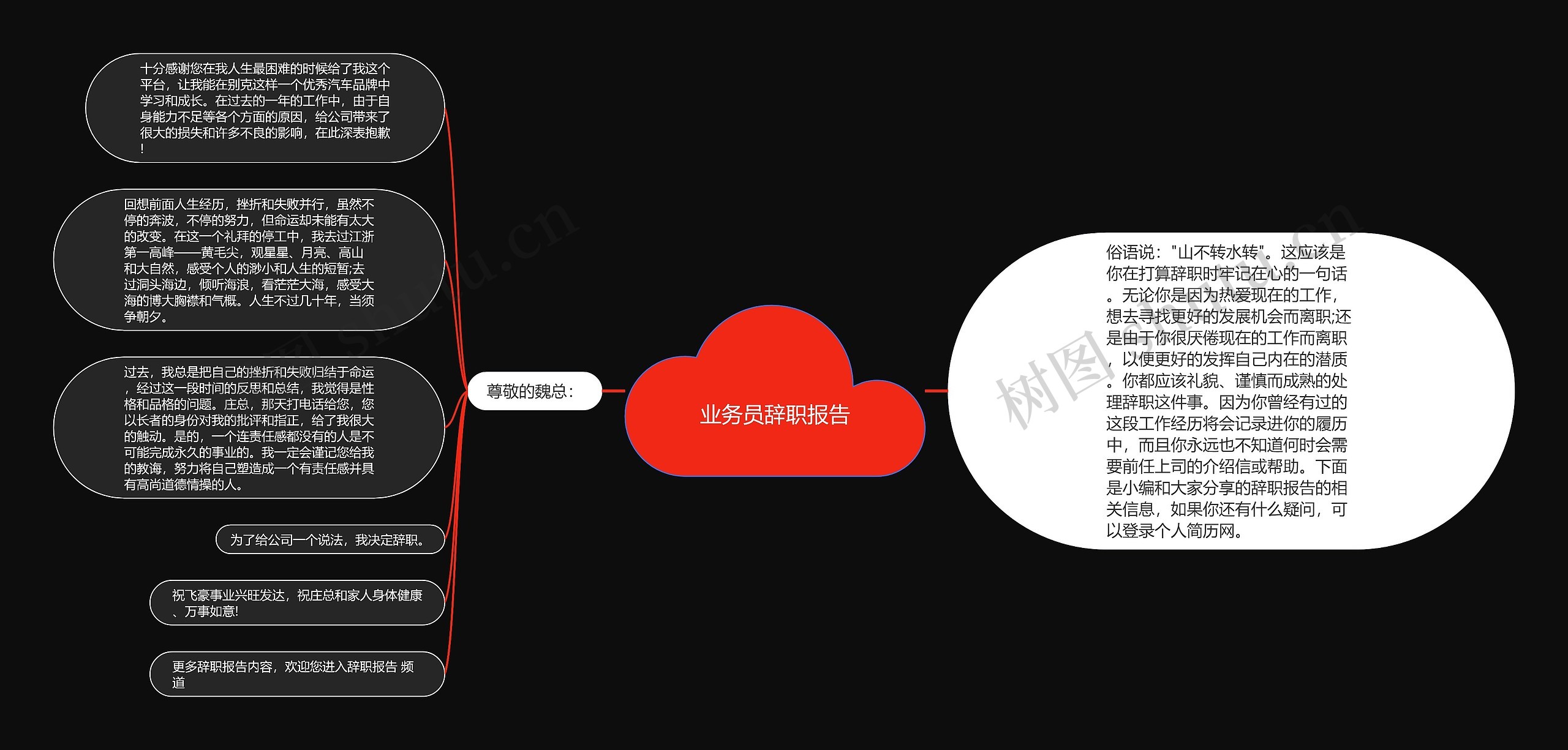 业务员辞职报告思维导图