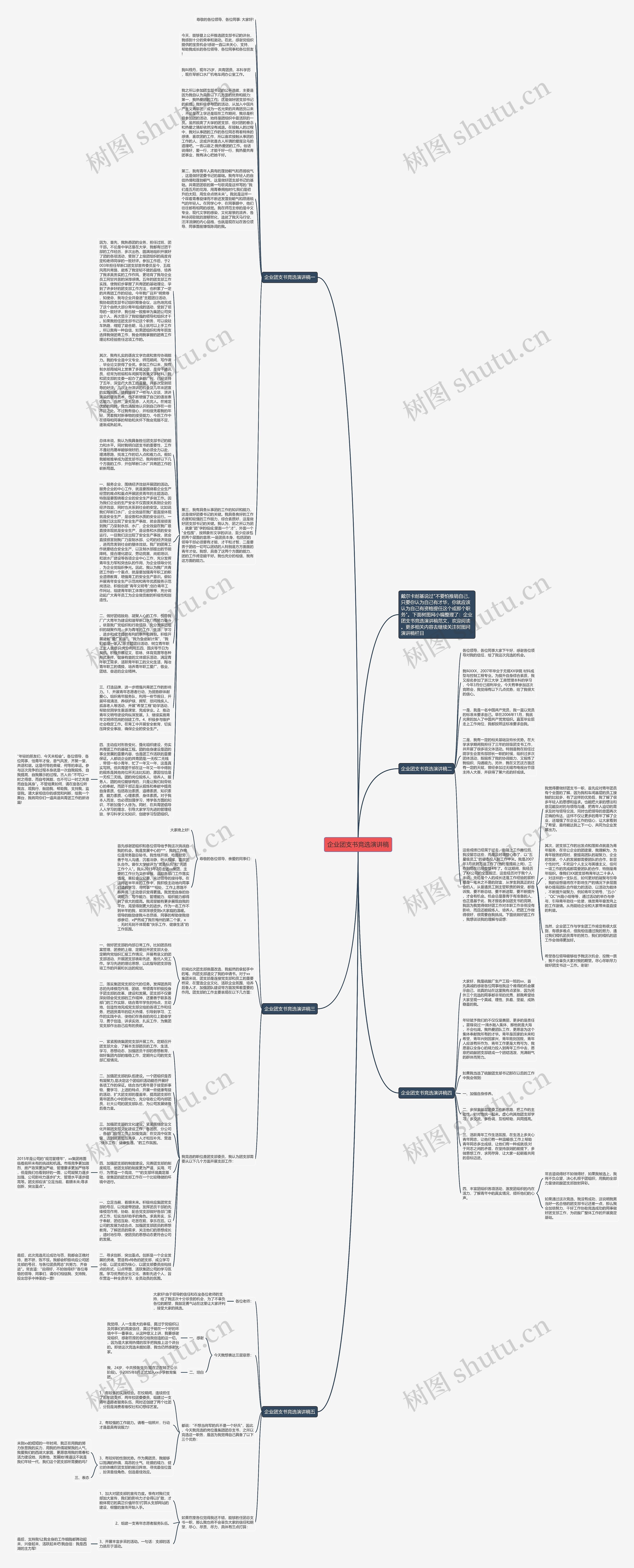 企业团支书竞选演讲稿思维导图